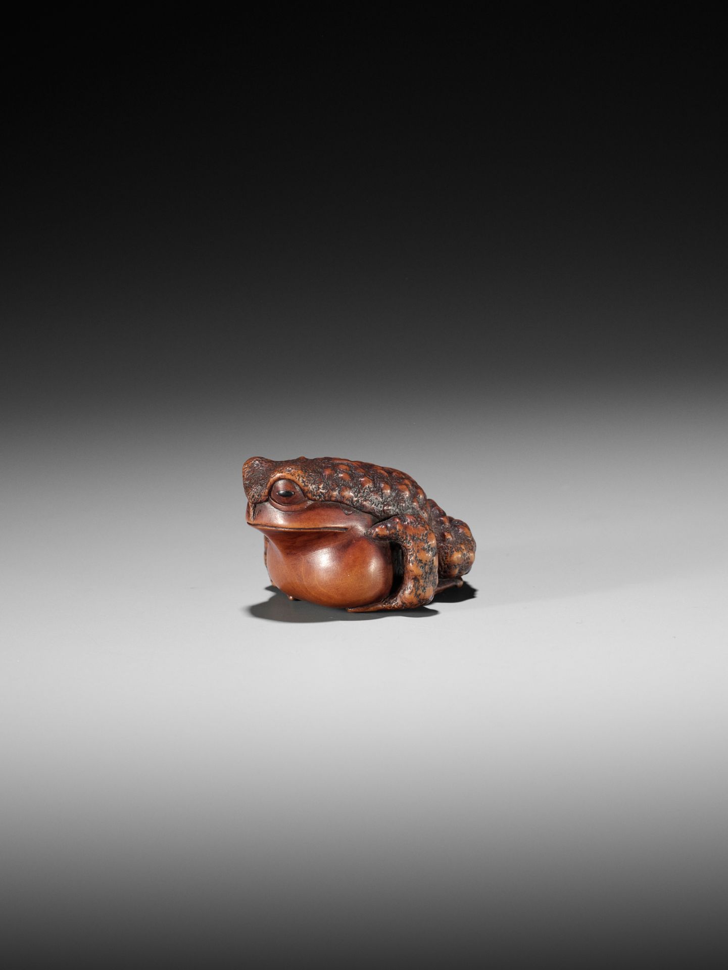 MASANAO: A WOOD NETSUKE OF A CROUCHING TOAD - Bild 9 aus 12