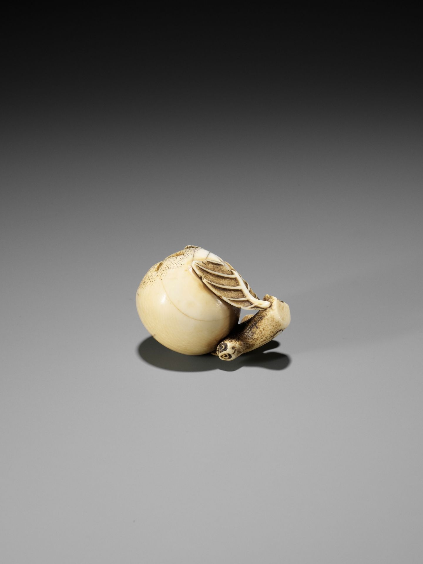 MITSUHIRO: AN IVORY NETSUKE OF A FLY ON A BIWA (LOQUAT) - Bild 6 aus 11