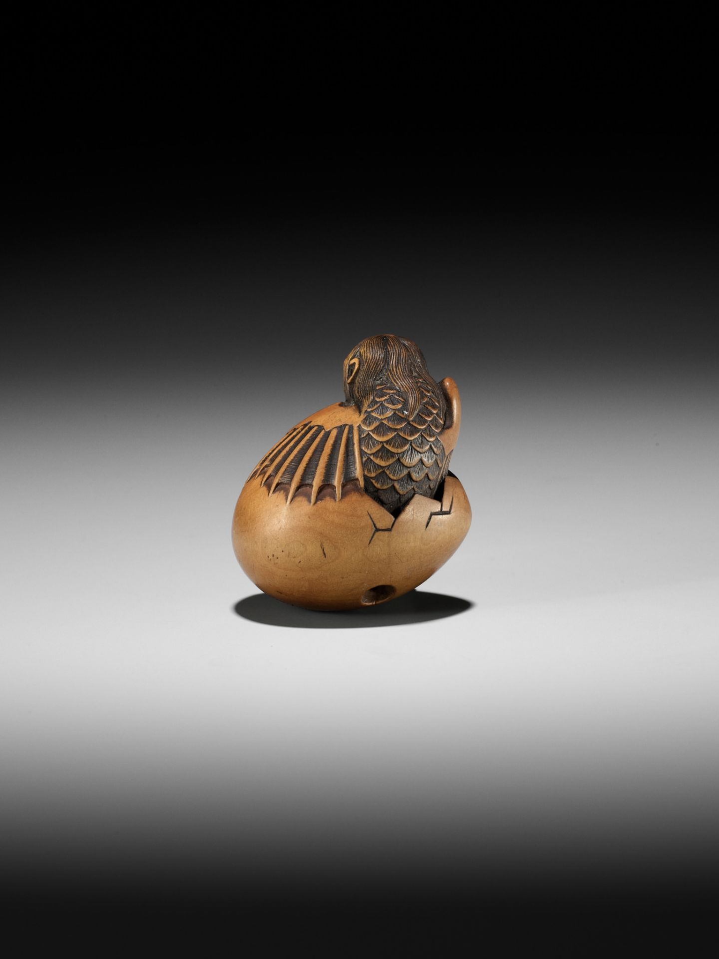 TOYOMASA: A SUPERB WOOD NETSUKE OF A HATCHING TENGU (TENGU NO TAMAGO) - Bild 8 aus 23