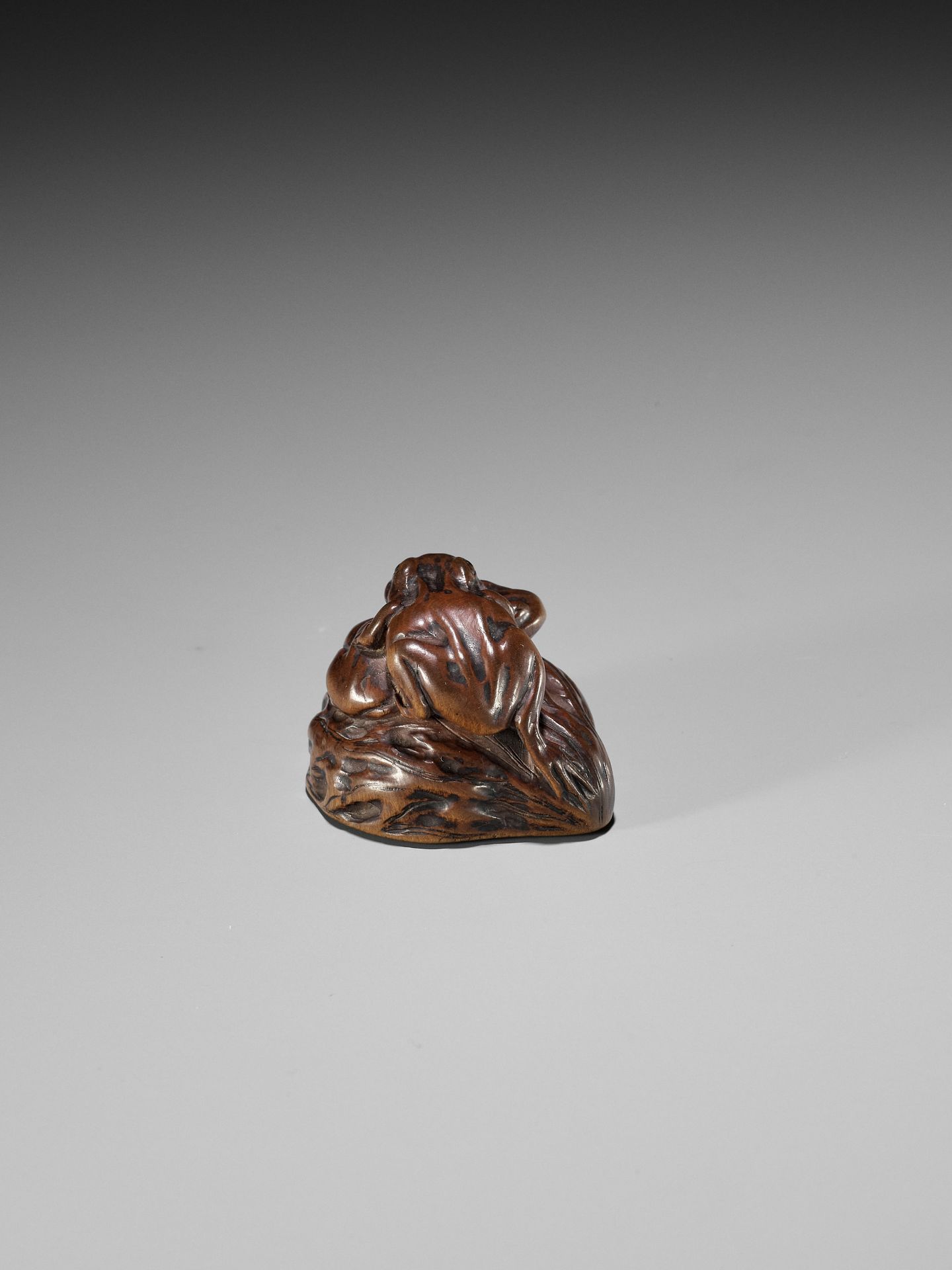ISSAN: A WOOD NETSUKE OF TWO TOADS ON A WALNUT - Image 2 of 11