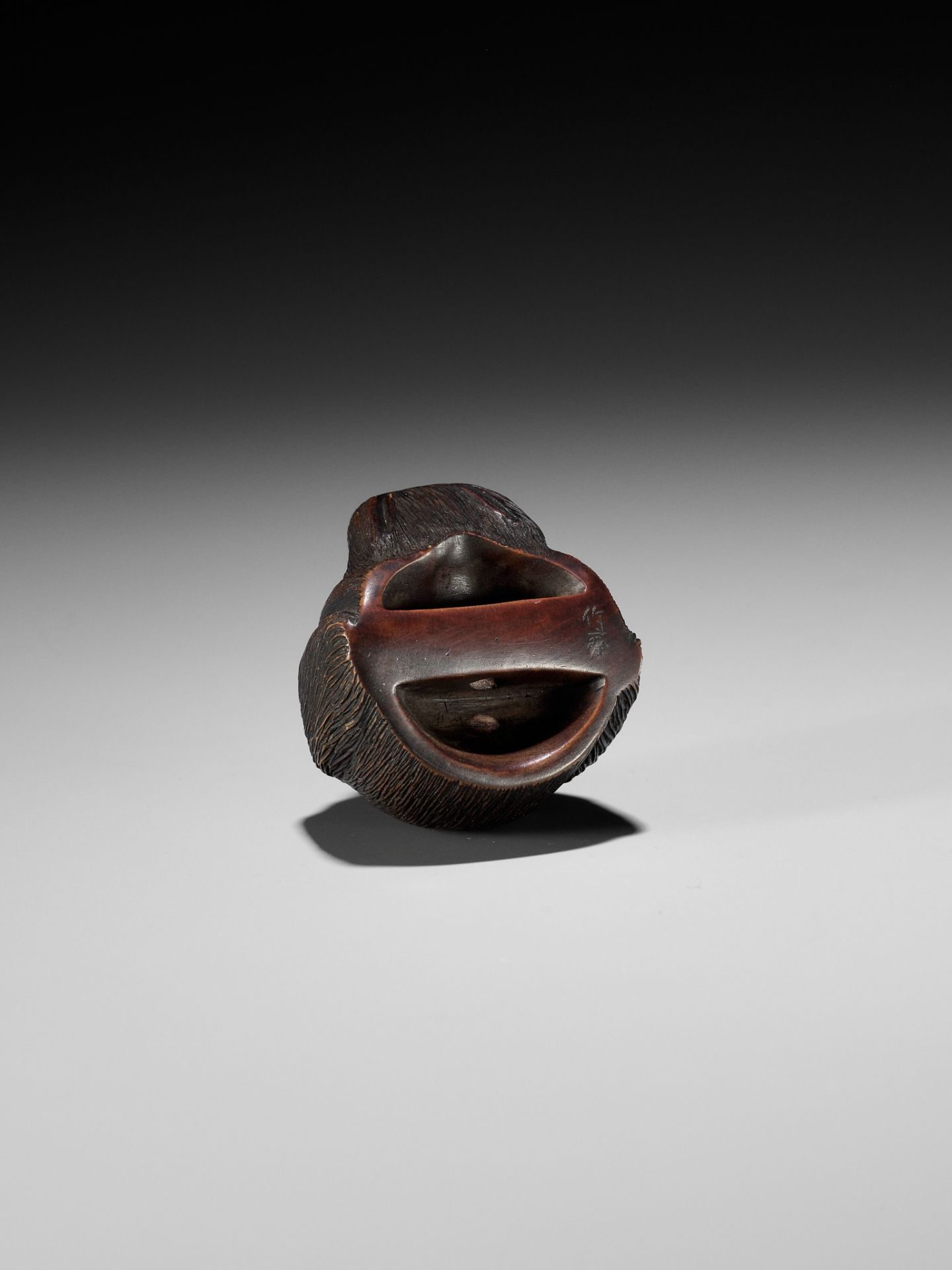 CHIKUSAI: A RARE WOOD NETSUKE DEPICTING THE HEAD OF A DOG - Image 11 of 12