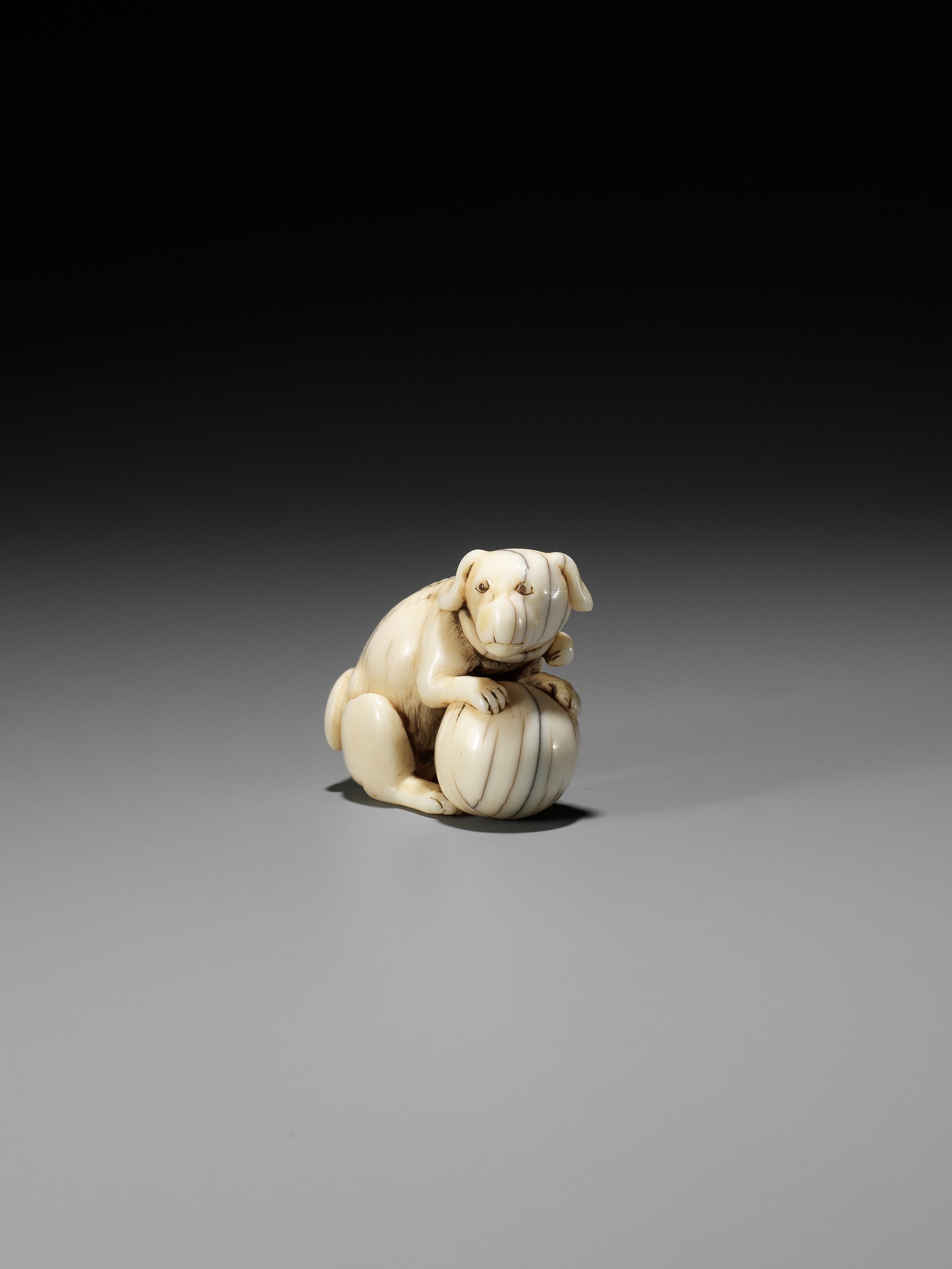 TOMOTADA: AN IVORY NETSUKE OF A DOG WITH BALL - Image 3 of 12
