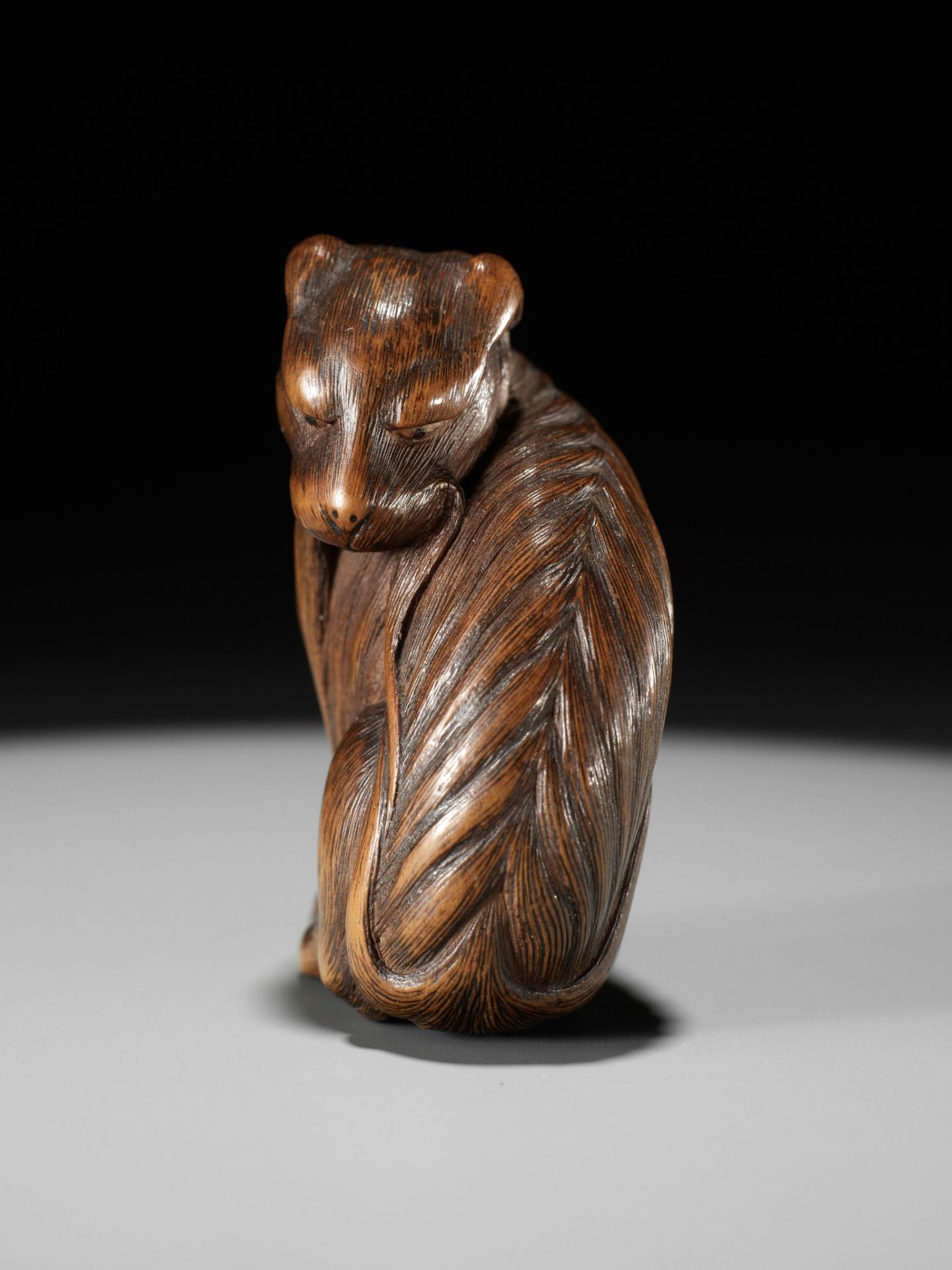 TADAKUNI: A SUPERB AND RARE WOOD NETSUKE OF A JAKONEKO (MUSK CAT) - Bild 16 aus 19