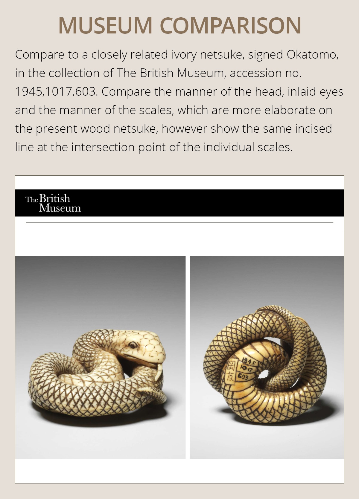 AN IVORY NETSUKE OF A COILED SNAKE, ATTRIBUTED TO OKATOMO - Image 5 of 16