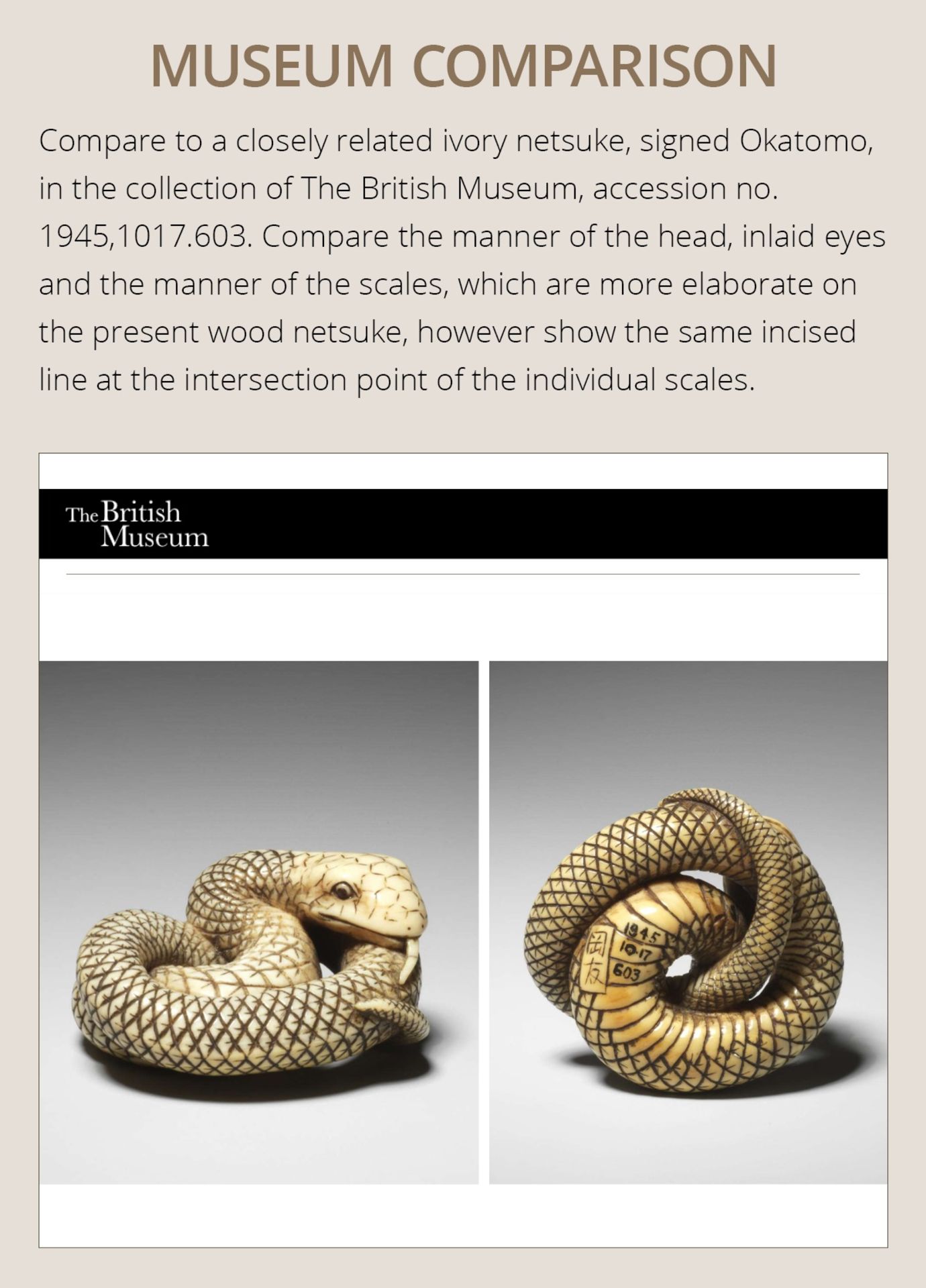 AN IVORY NETSUKE OF A COILED SNAKE, ATTRIBUTED TO OKATOMO - Bild 5 aus 16