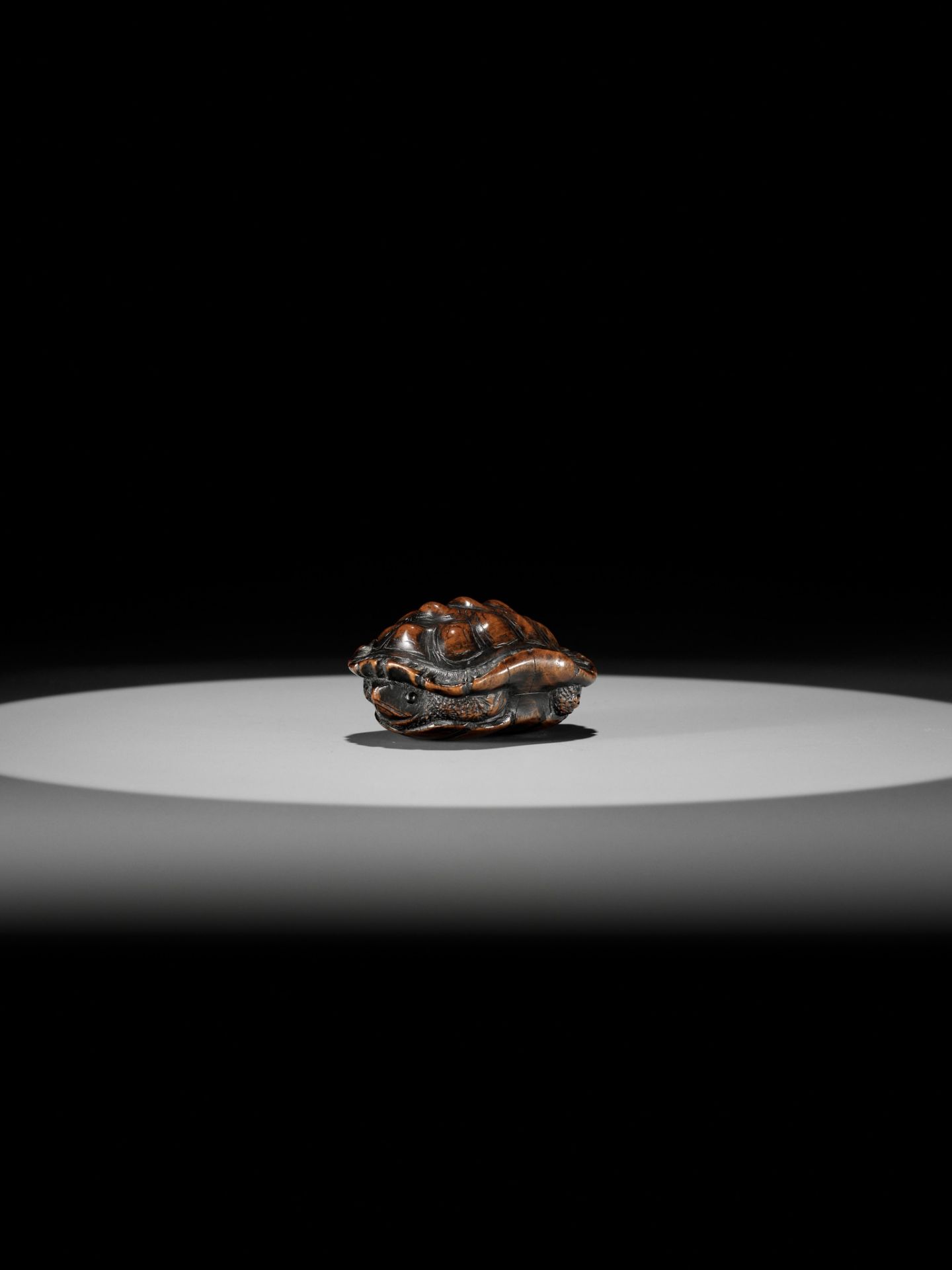 TOYOMASA: A SUPERB WOOD NETSUKE OF A TORTOISE - Image 8 of 18