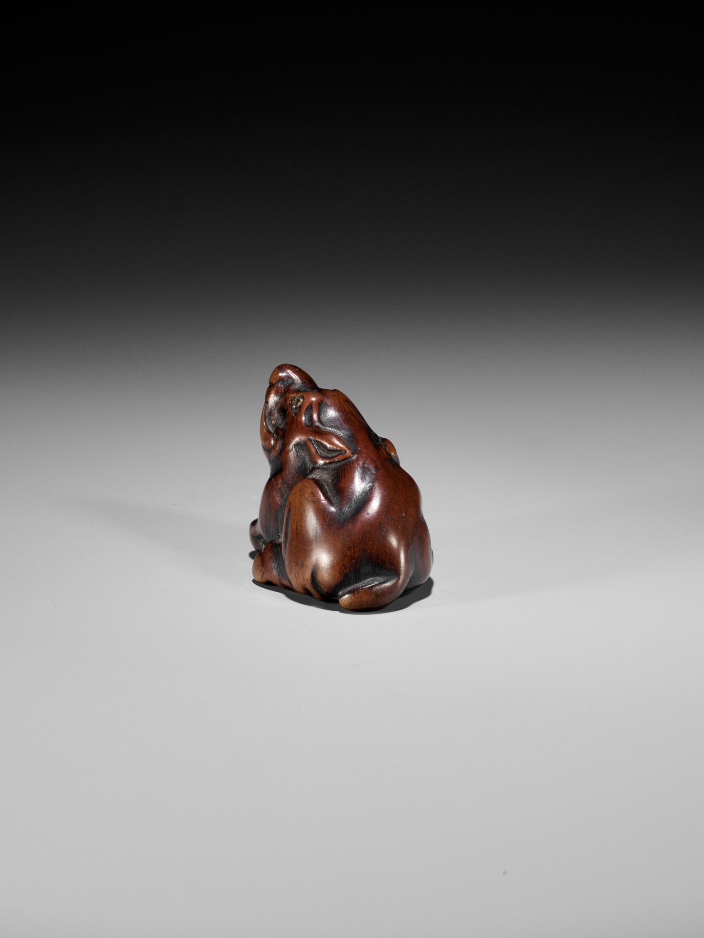 A FINE TANBA SCHOOL WOOD NETSUKE OF A RECUMBENT BOAR - Bild 7 aus 12