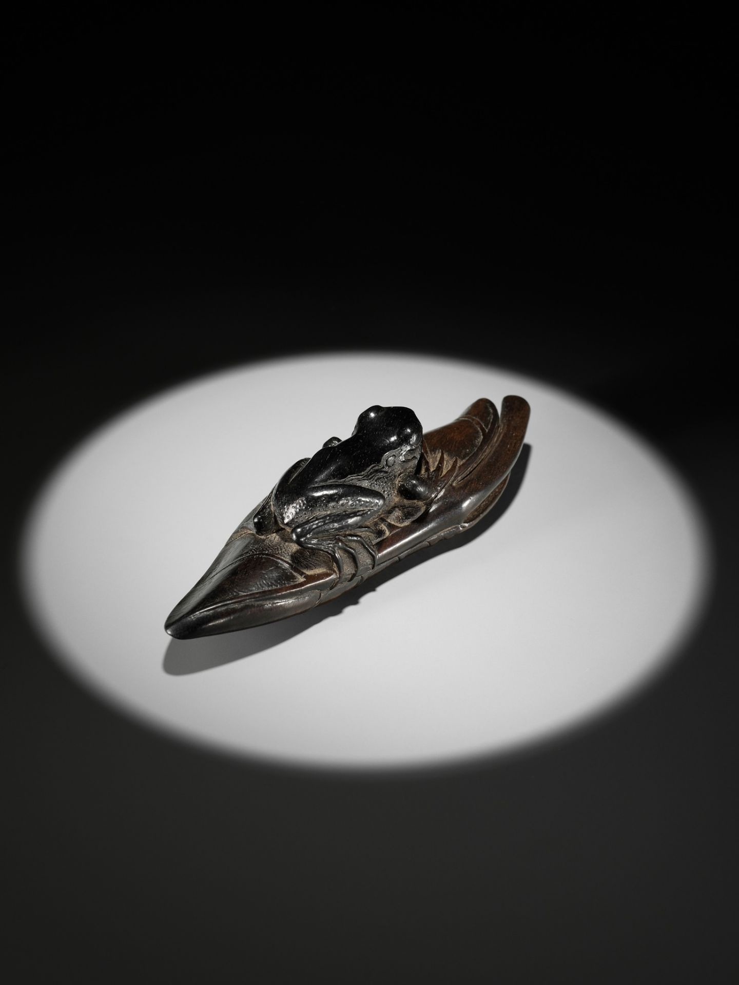 KANMAN: AN EXCEPTIONAL AND LARGE KUROGAKI (BLACK PERSIMMON) WOOD NETSUKE OF A FROG ON A LOTUS LEAF - Bild 13 aus 20