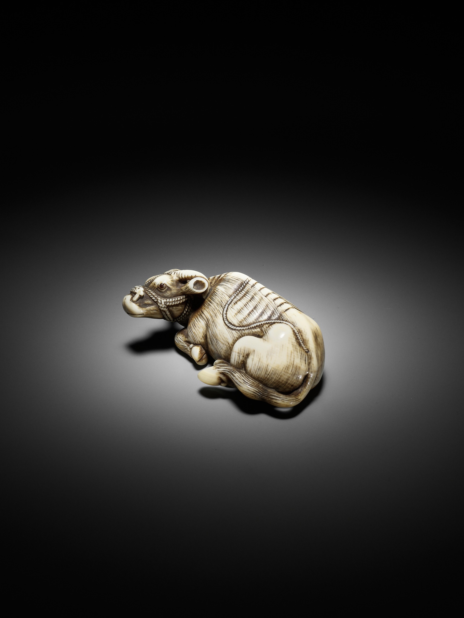 TOMOTADA: A SUPERB IVORY NETSUKE OF A RECUMBENT COW - Image 9 of 18