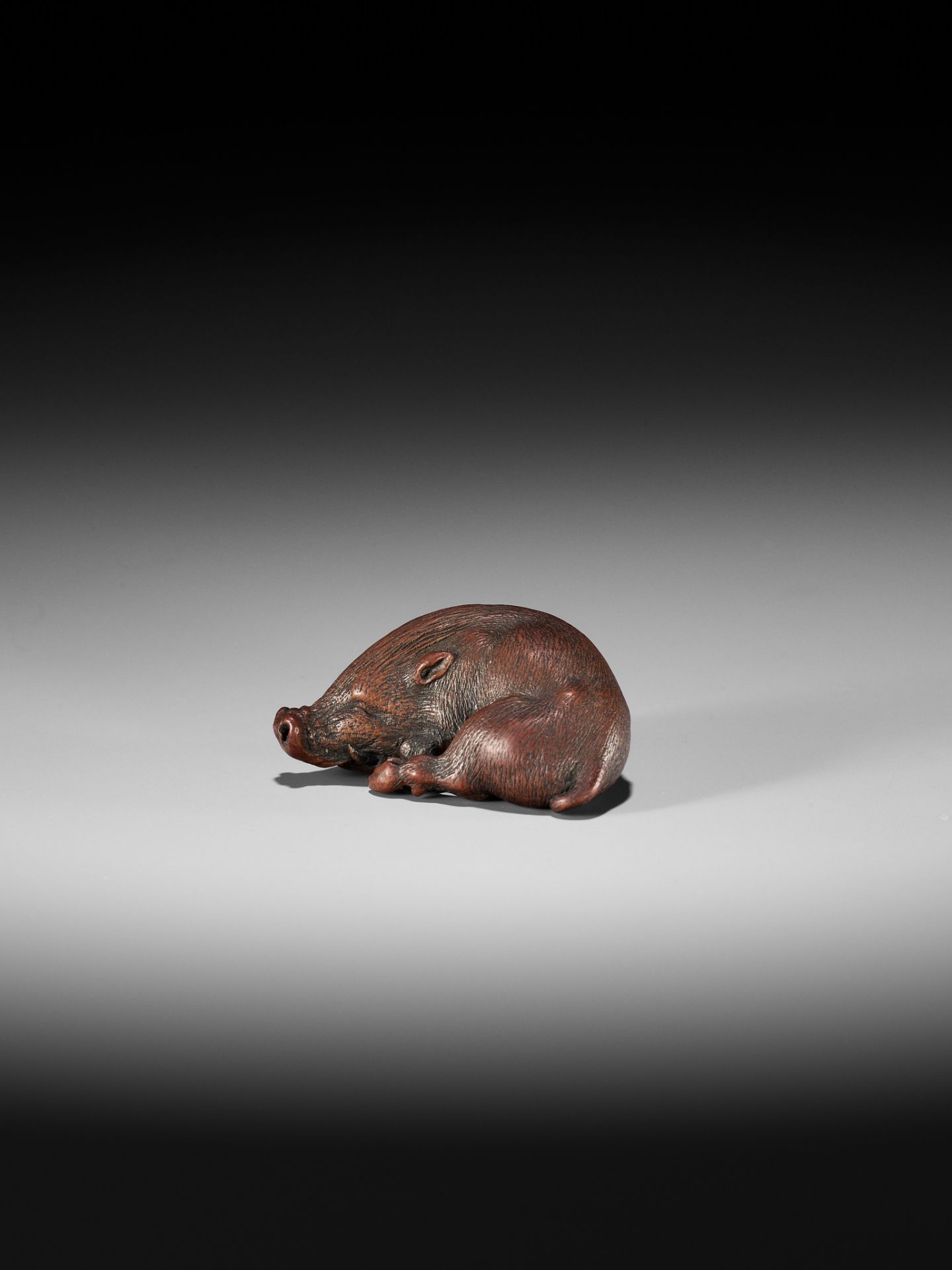 ITTAN: A SUPERB WOOD NETSUKE OF A LONG-SNOUTED WILD BOAR - Bild 15 aus 16