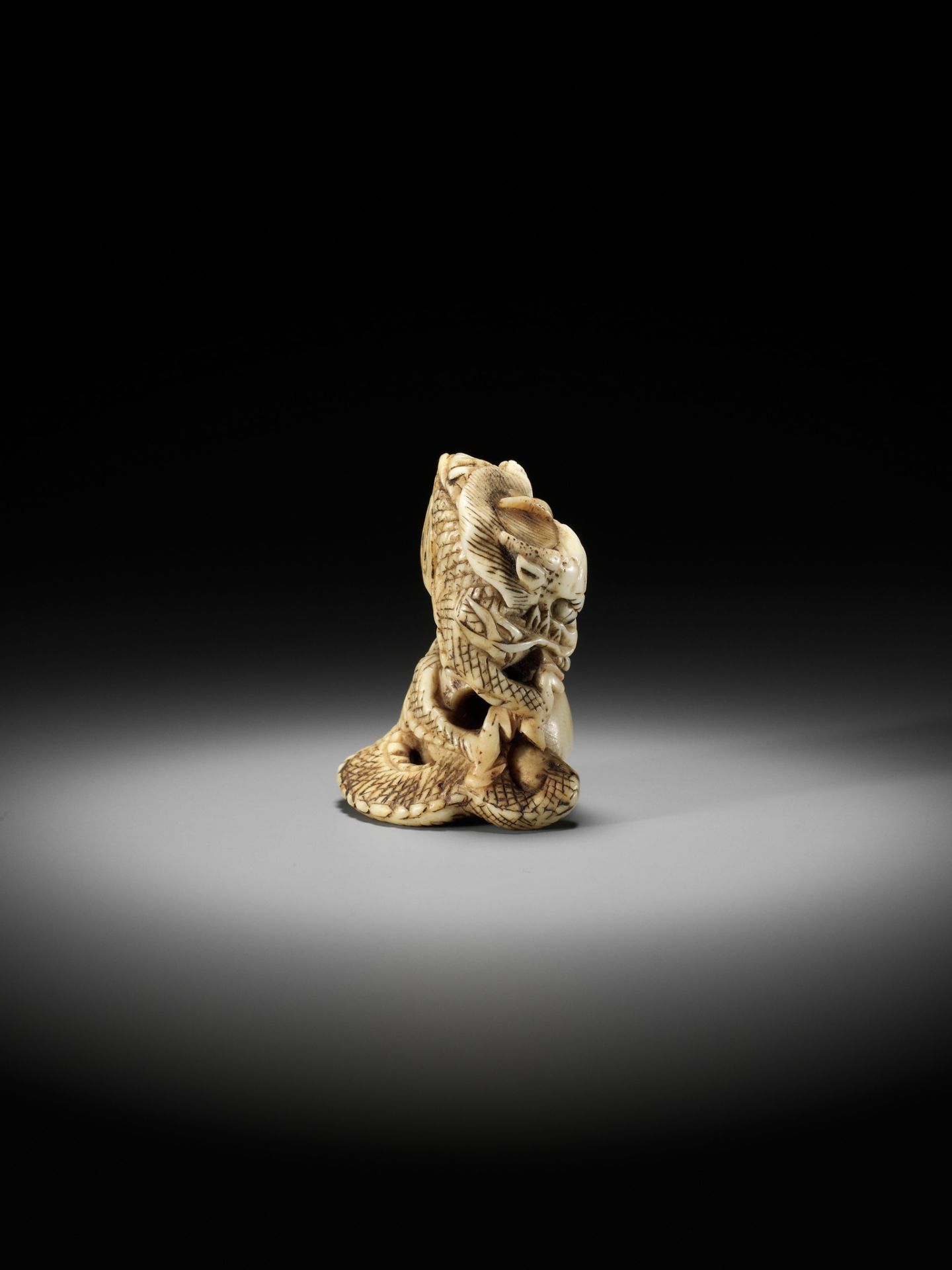 A POWERFUL STAG ANTLER NETSUKE OF A DRAGON WITH TAMA, ATTRIBUTED TO MOTOTADA - Image 6 of 11