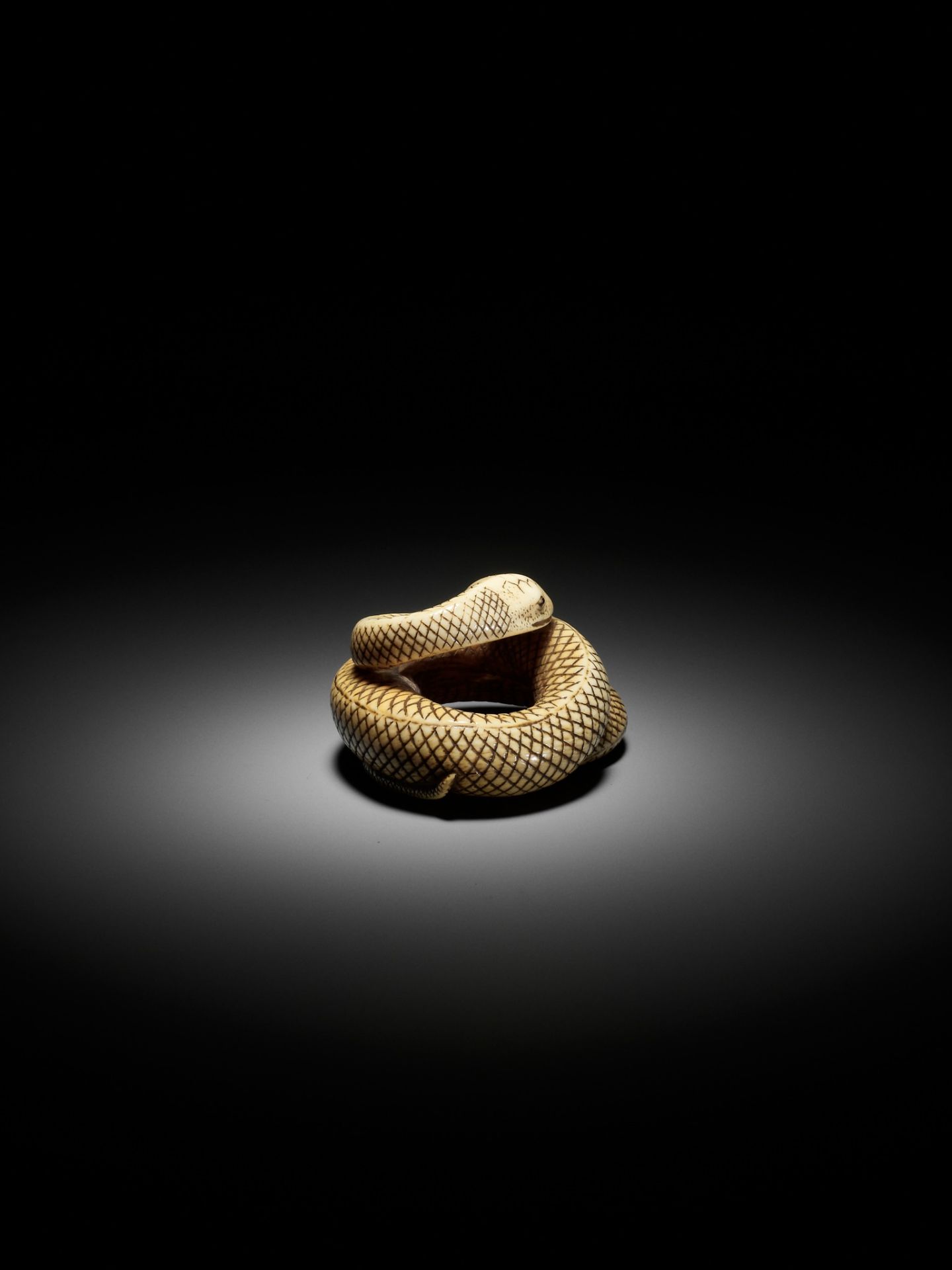 AN IVORY NETSUKE OF A COILED SNAKE, ATTRIBUTED TO OKATOMO - Image 9 of 16