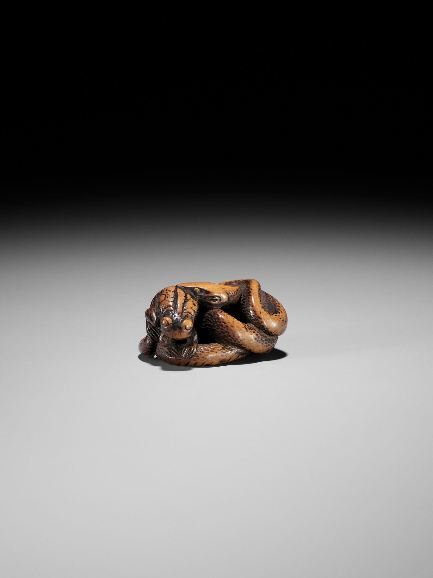AN EARLY WOOD NETSUKE OF A SNAKE AND FROG - Image 12 of 12