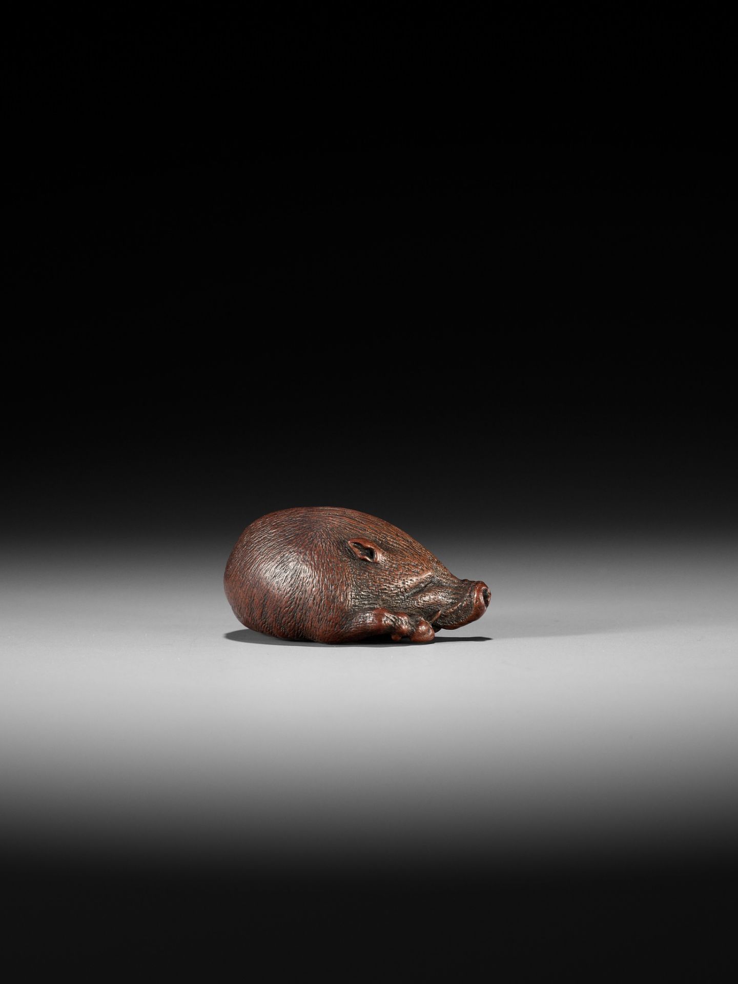 ITTAN: A SUPERB WOOD NETSUKE OF A LONG-SNOUTED WILD BOAR - Bild 12 aus 16