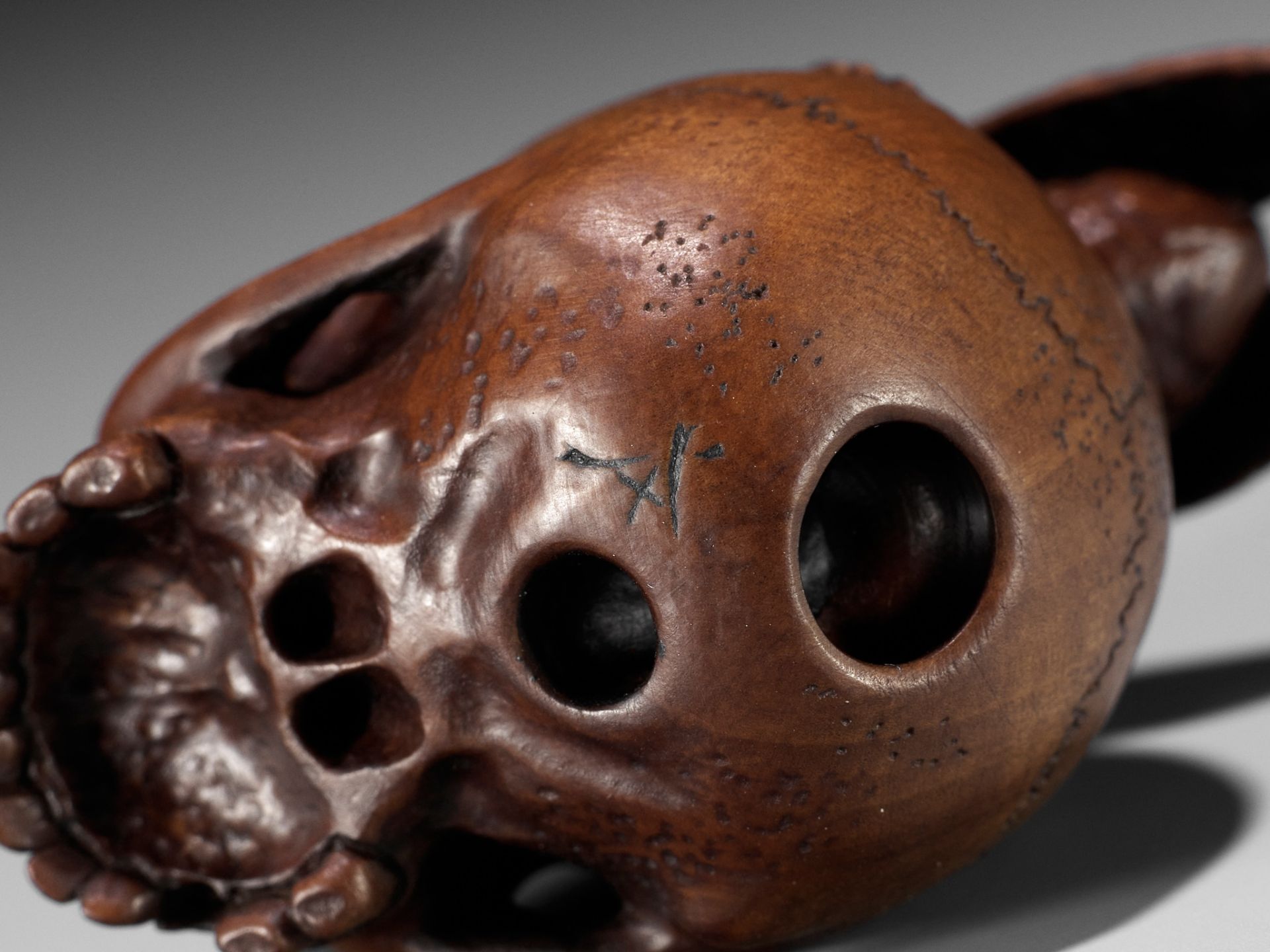 ALEXANDER DERKACHENKO: A WOOD NETSUKE OF A CICADA ON A SKULL - Image 15 of 16