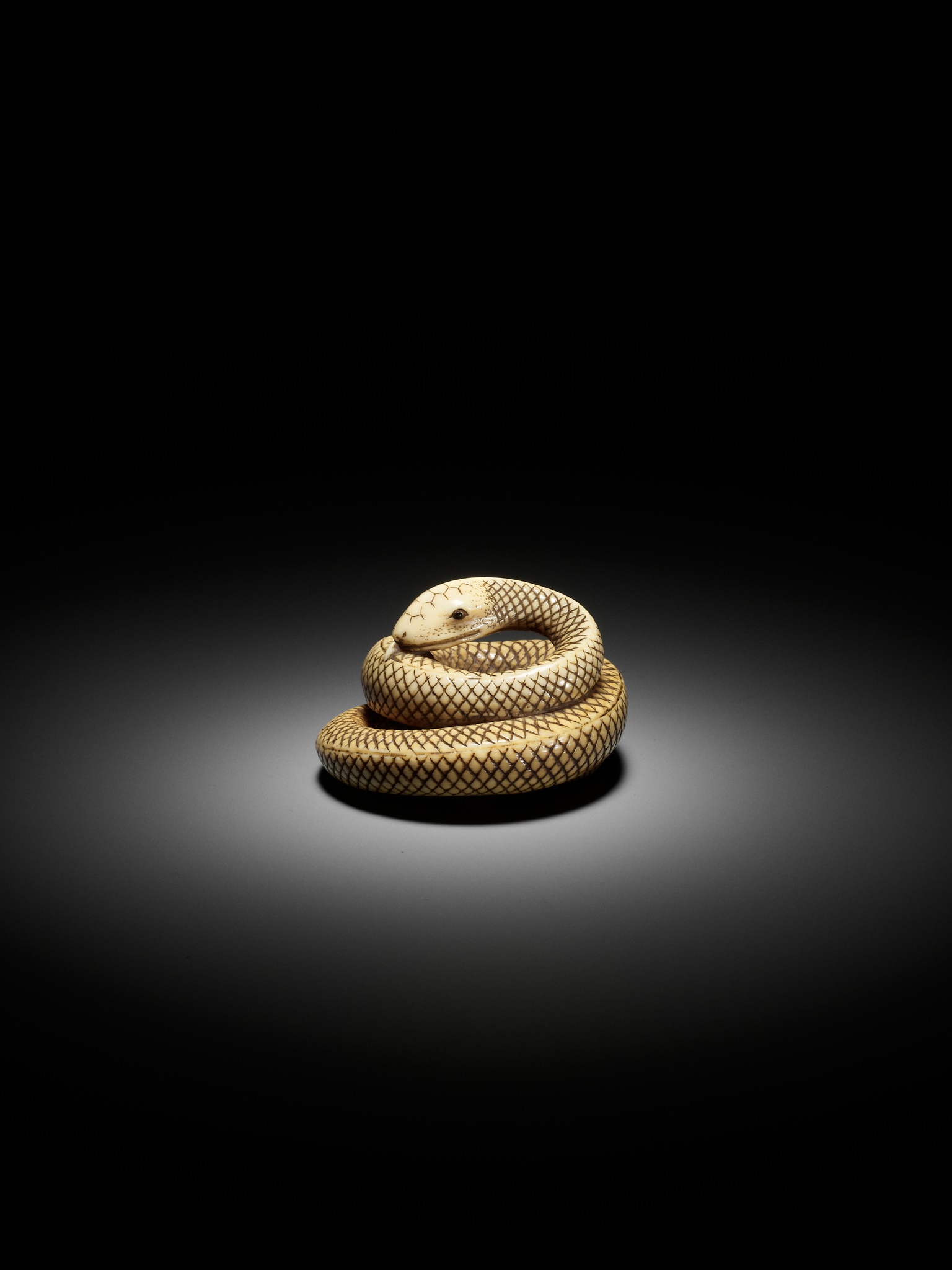 AN IVORY NETSUKE OF A COILED SNAKE, ATTRIBUTED TO OKATOMO - Image 8 of 16