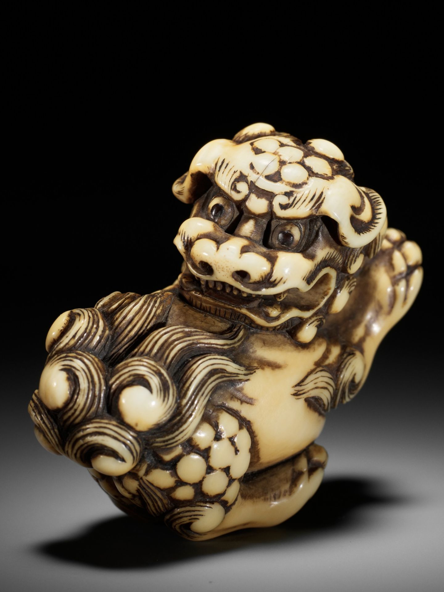 AN IVORY NETSUKE OF A PRANCING SHISHI - Image 16 of 17