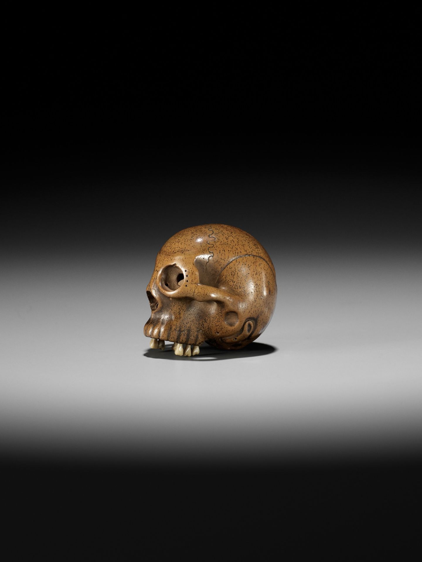 TADASHIGE: A SUPERB WOOD NETSUKE OF A SKULL WITH INLAID STAG ANTLER TEETH - Image 5 of 12