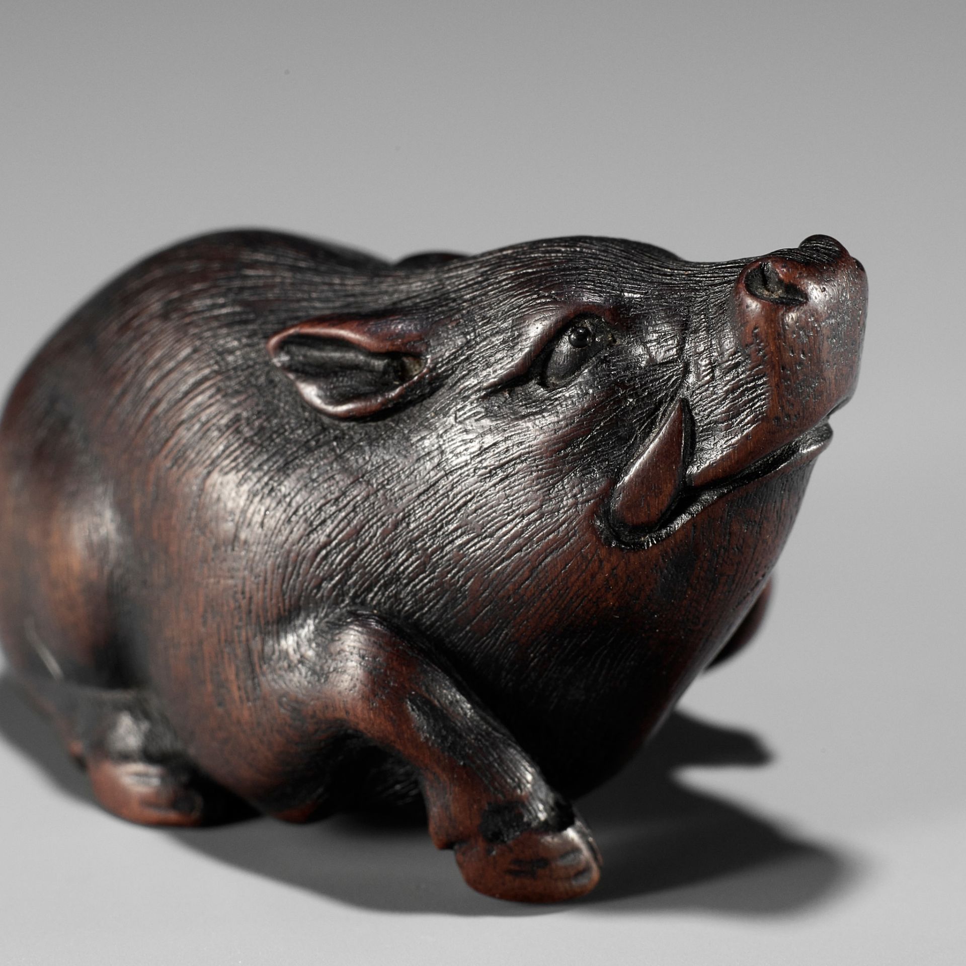 ITTAN: A SUPERB WOOD NETSUKE OF A WILD BOAR - Bild 14 aus 14