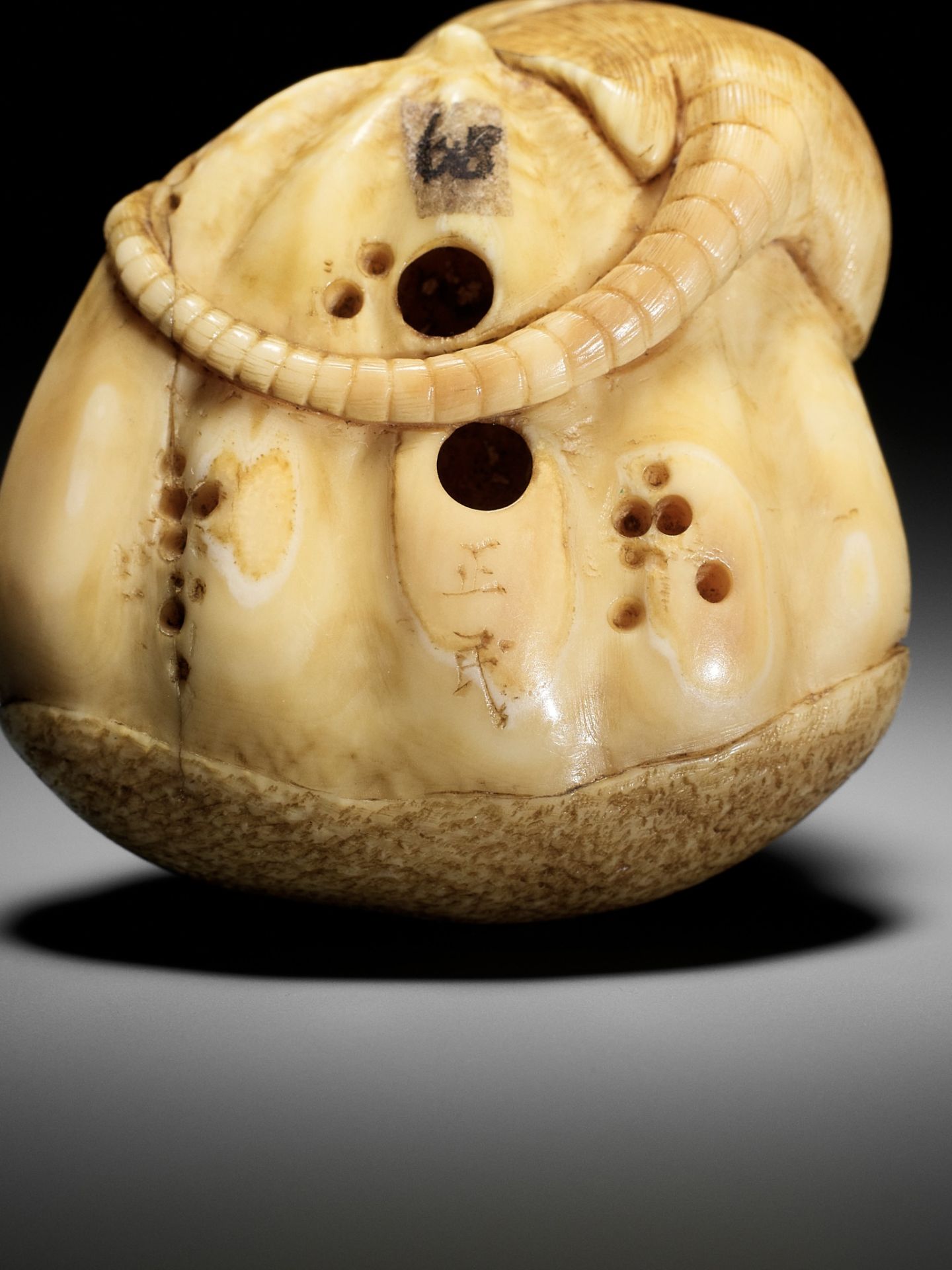 MASATAMI: A VERY FINE IVORY NETSUKE OF A RAT ON CHESTNUT - Image 11 of 12