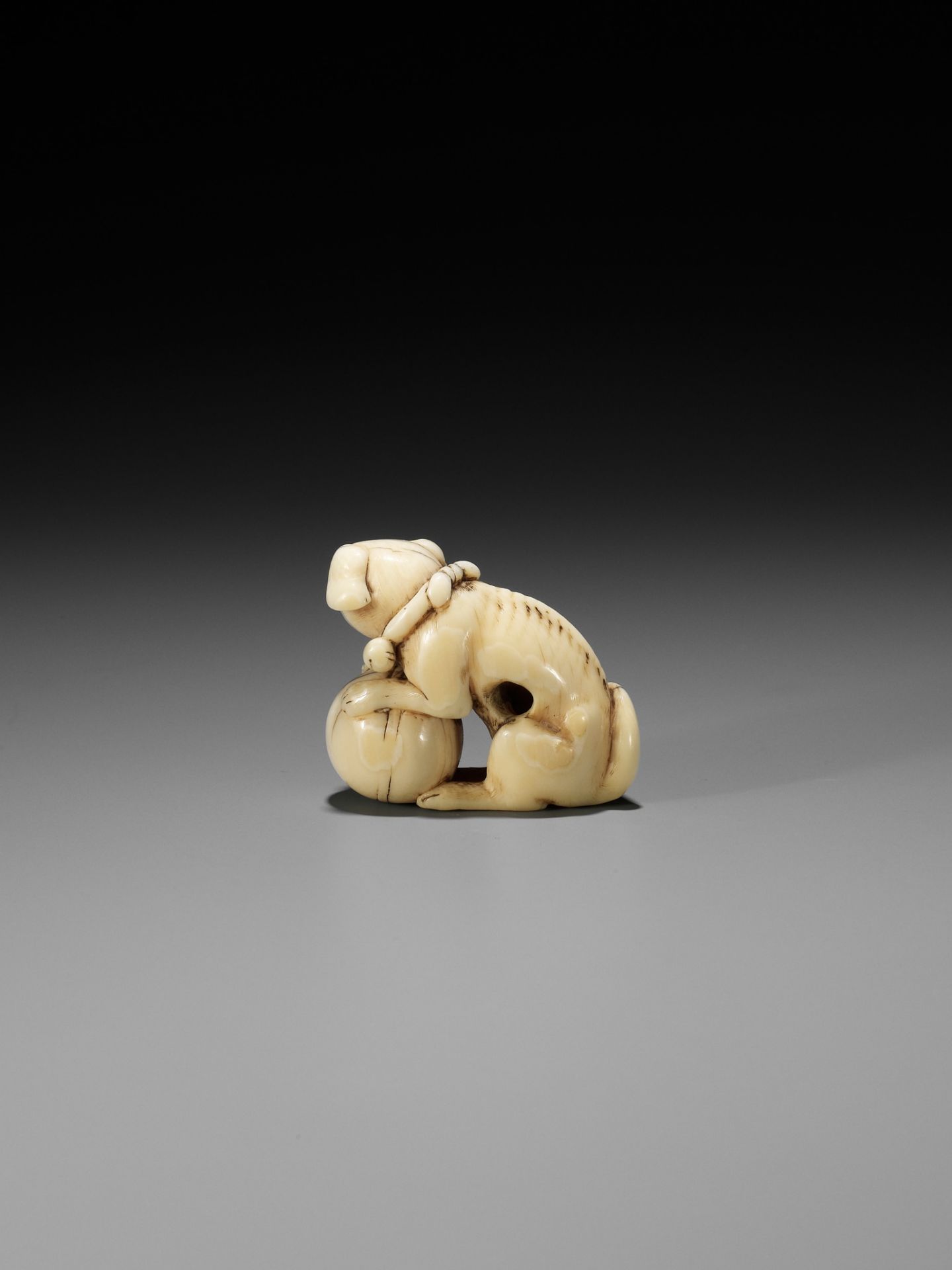 TOMOTADA: AN IVORY NETSUKE OF A DOG WITH BALL - Bild 2 aus 12