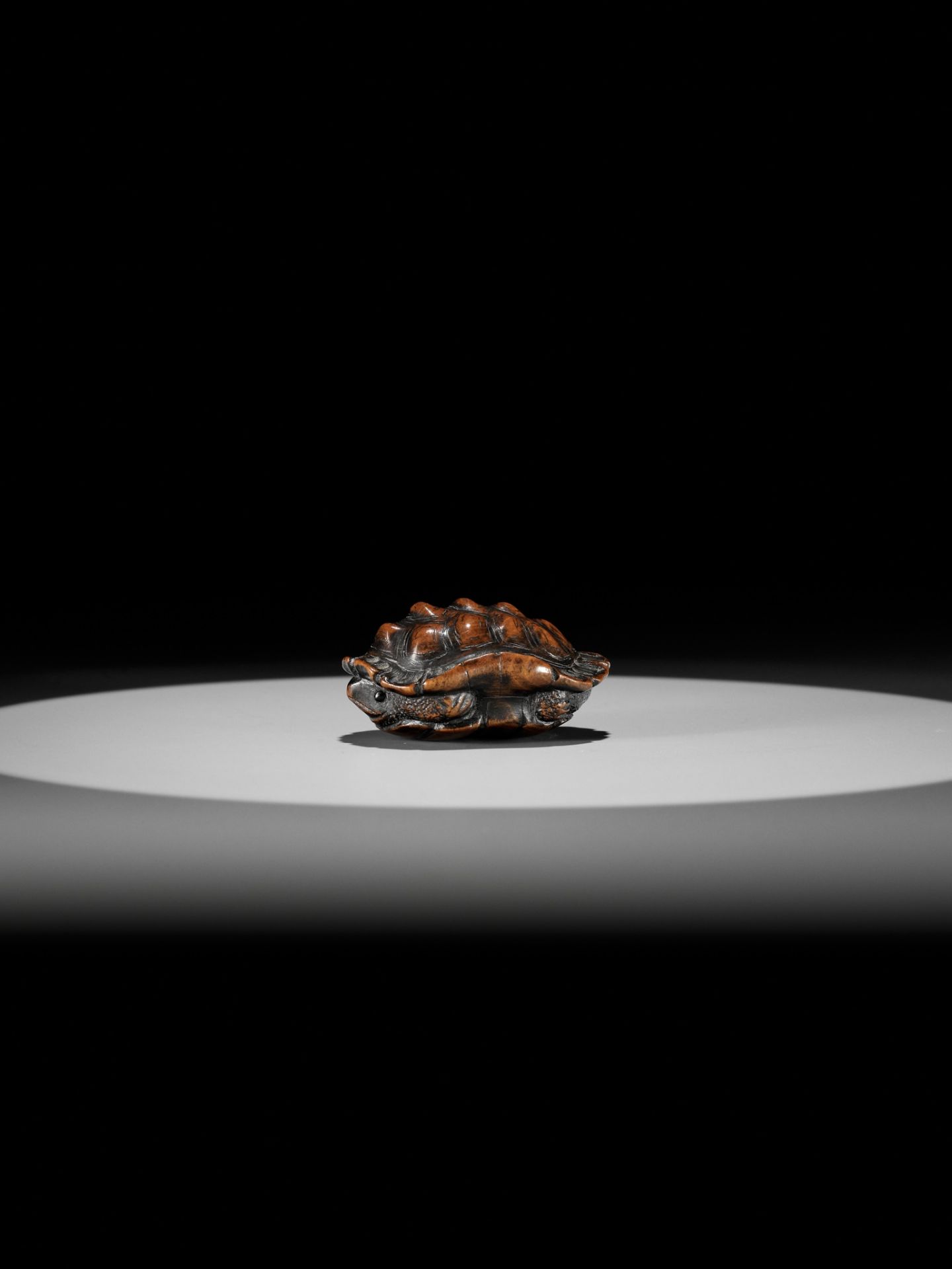 TOYOMASA: A SUPERB WOOD NETSUKE OF A TORTOISE - Image 6 of 18