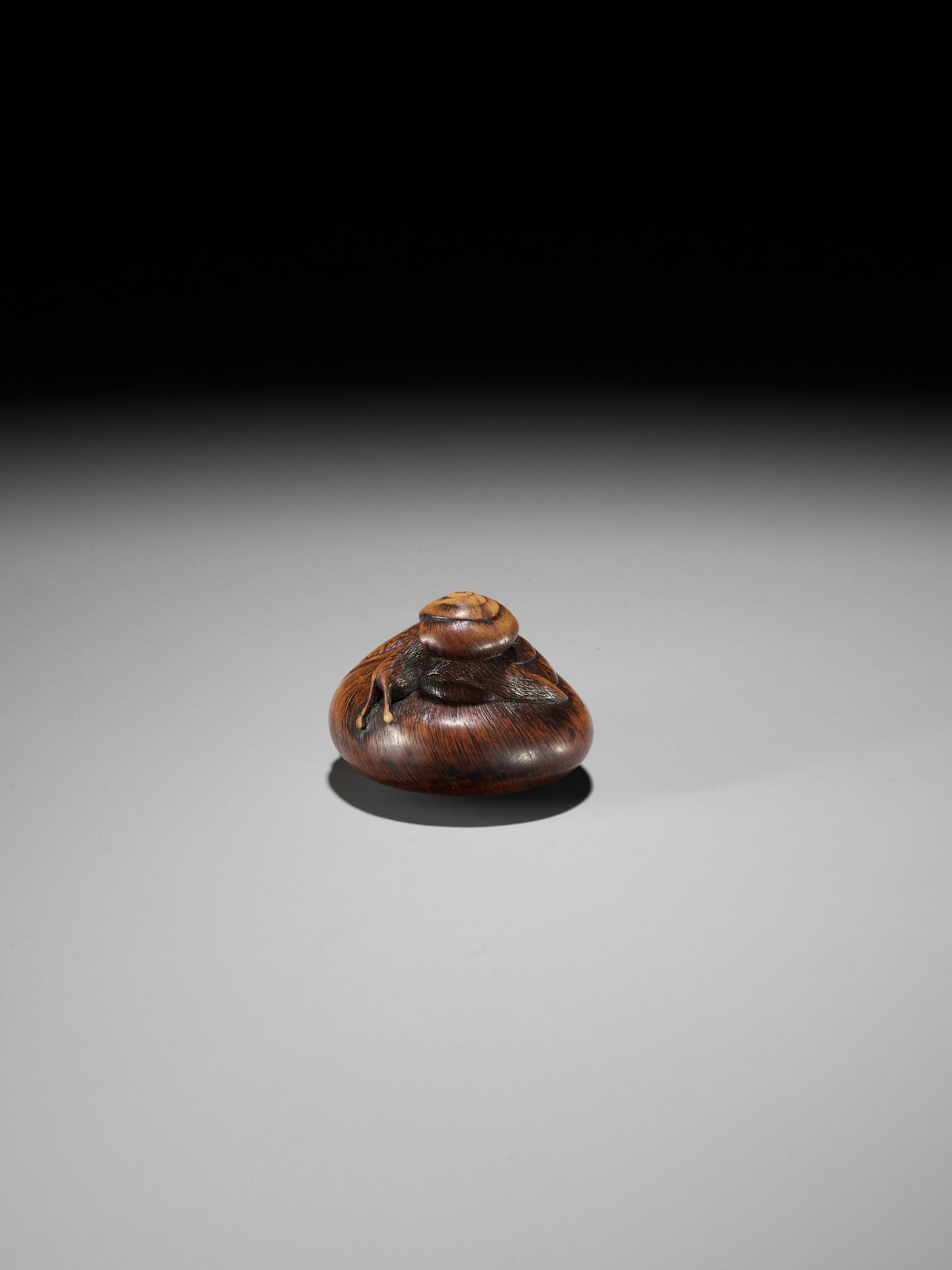 MASAKAZU: A RARE YAMADA SCHOOL WOOD NETSUKE OF TWO SNAILS - Image 11 of 13