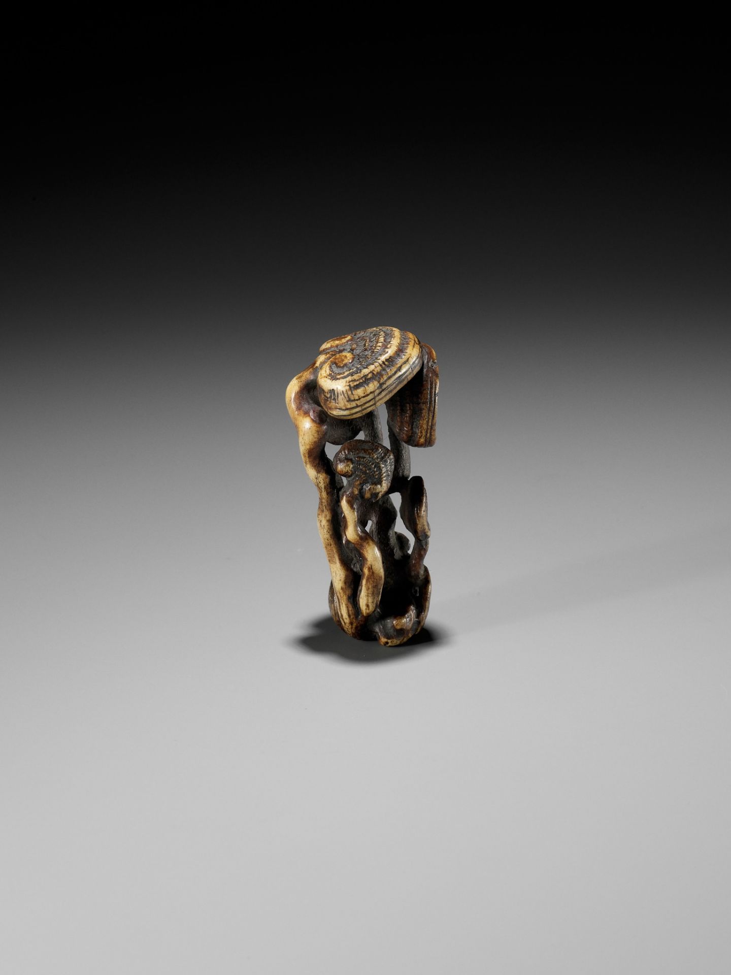 A STAG ANTLER NETSUKE OF REISHI FUNGI - Image 2 of 8