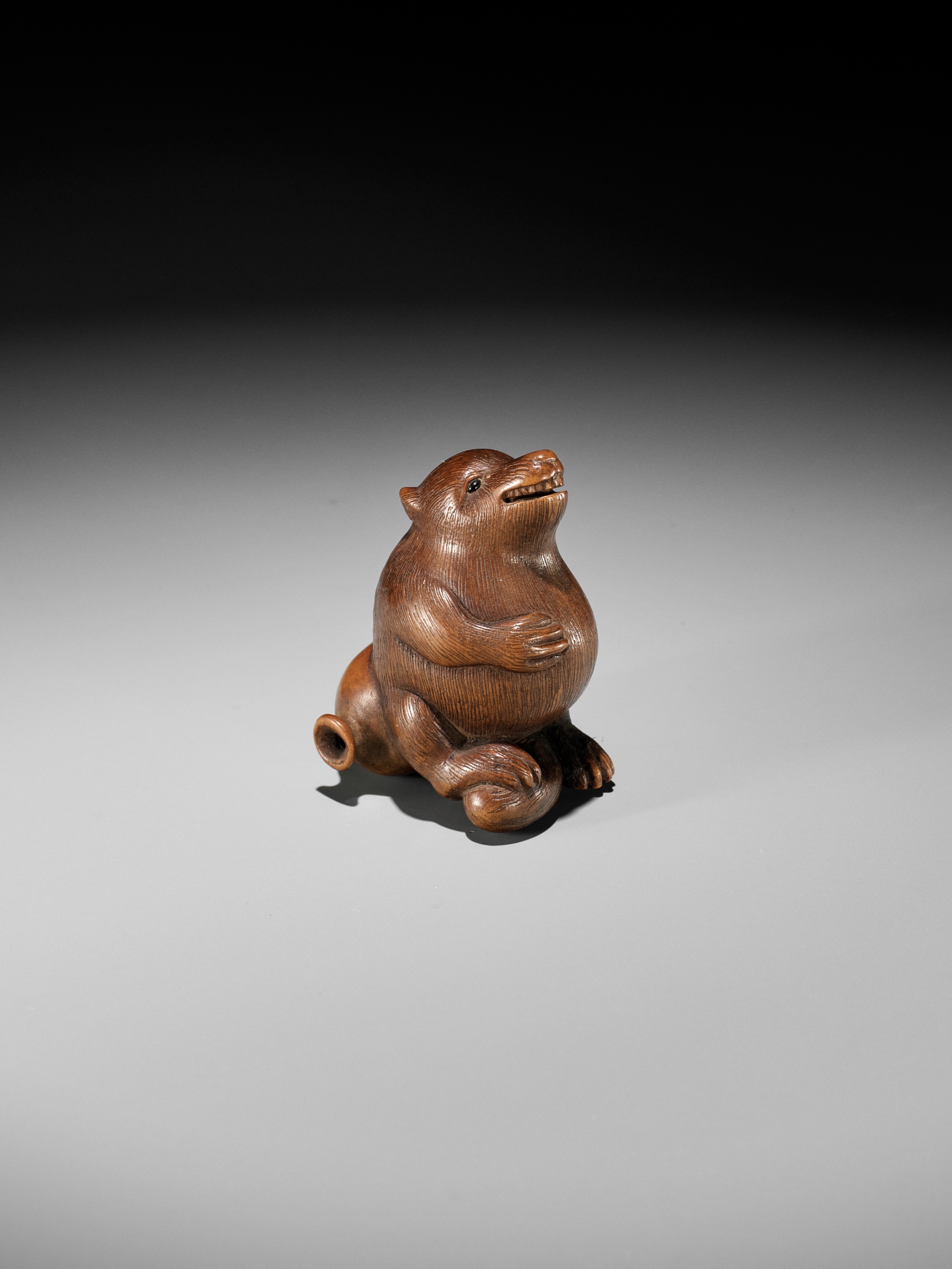 RANSEN: A FINE WOOD NETSUKE OF A DRUNKEN TANUKI HARA NO TSUZUMI - Image 2 of 14