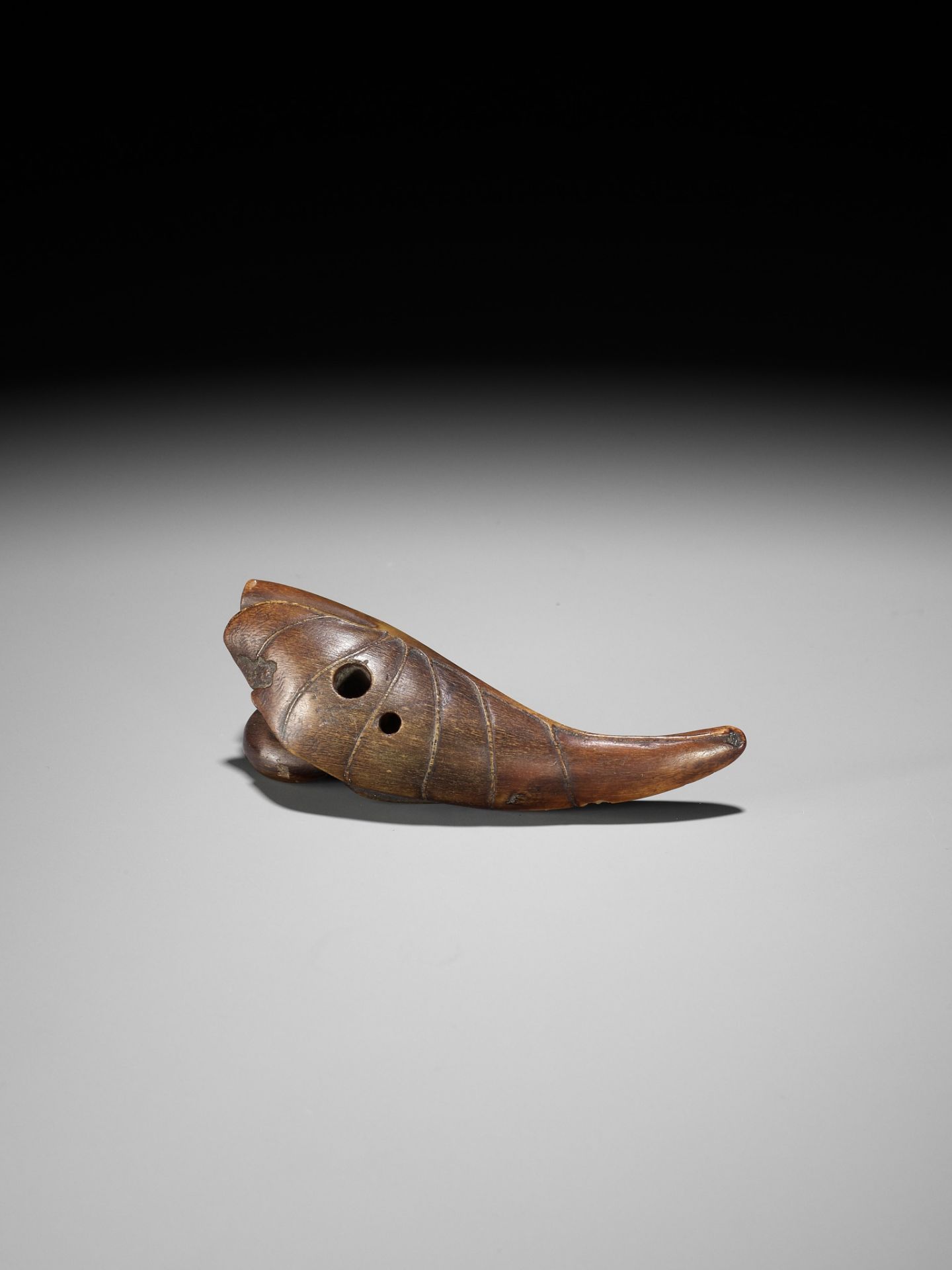 KANMAN: A RARE BUFFALO HORN NETSUKE OF A SNAIL ON A TARO LEAF - Bild 12 aus 15