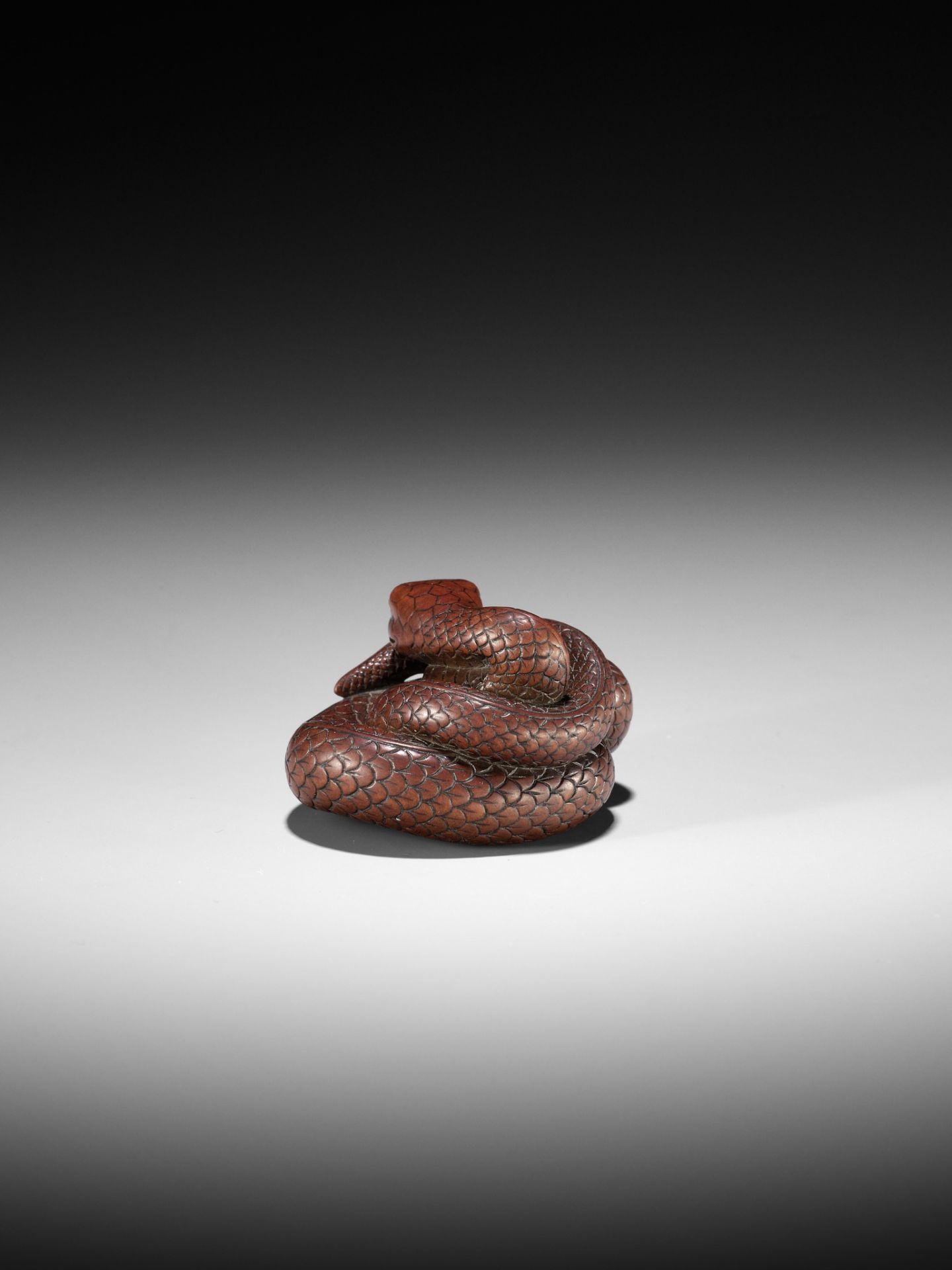 AN EXCEPTIONAL AND LARGE WOOD NETSUKE OF A SNAKE, ATTRIBUTED TO OKATOMO - Image 12 of 19
