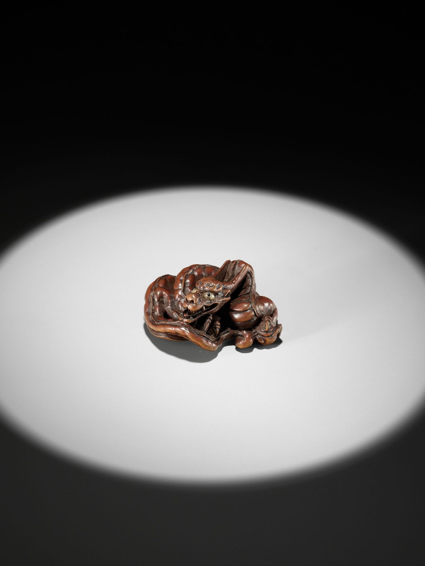 HIDARI ISSAN: A SUPERB WOOD NETSUKE OF A COILED DRAGON - Image 2 of 19