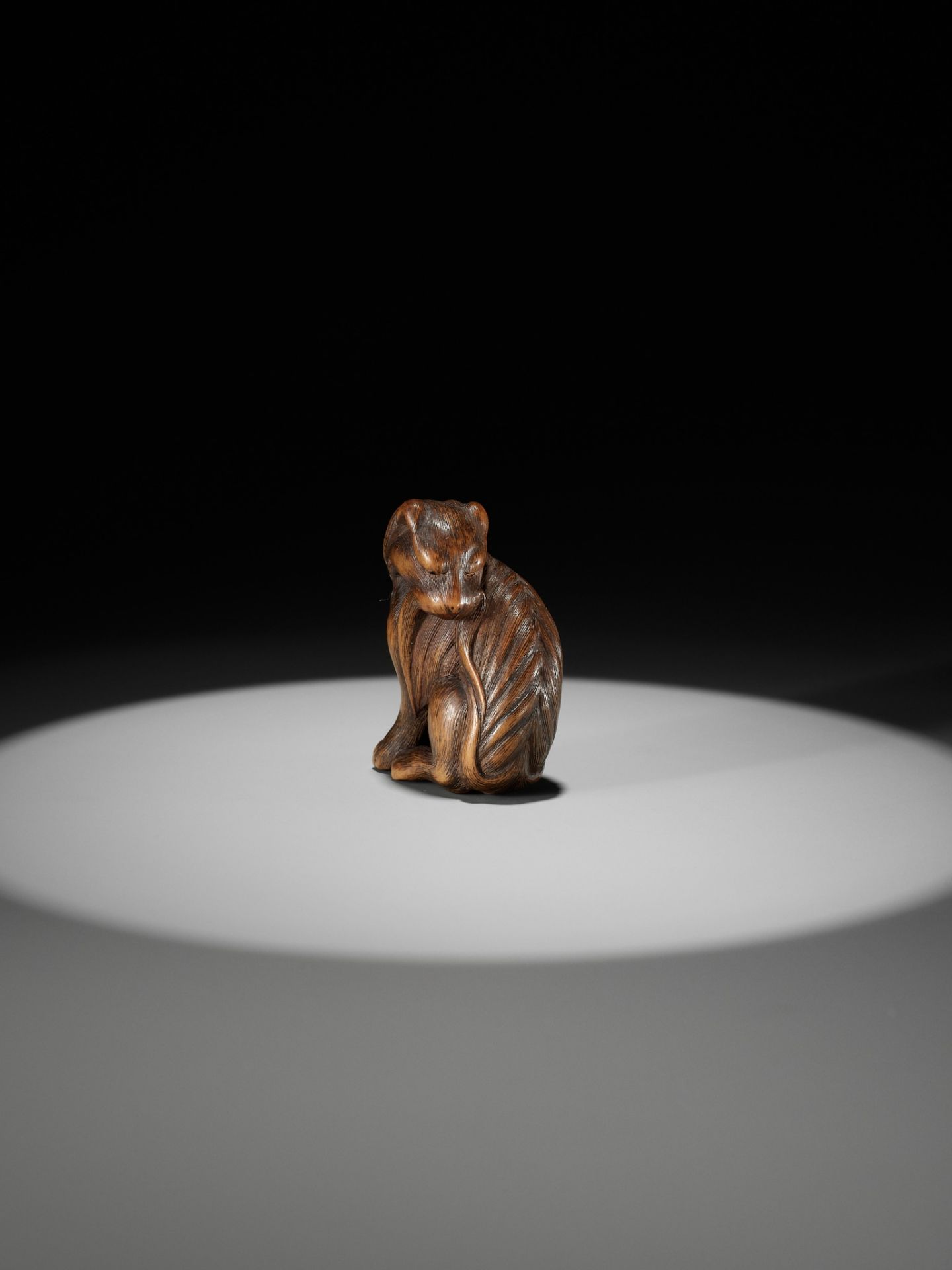 TADAKUNI: A SUPERB AND RARE WOOD NETSUKE OF A JAKONEKO (MUSK CAT) - Bild 11 aus 19