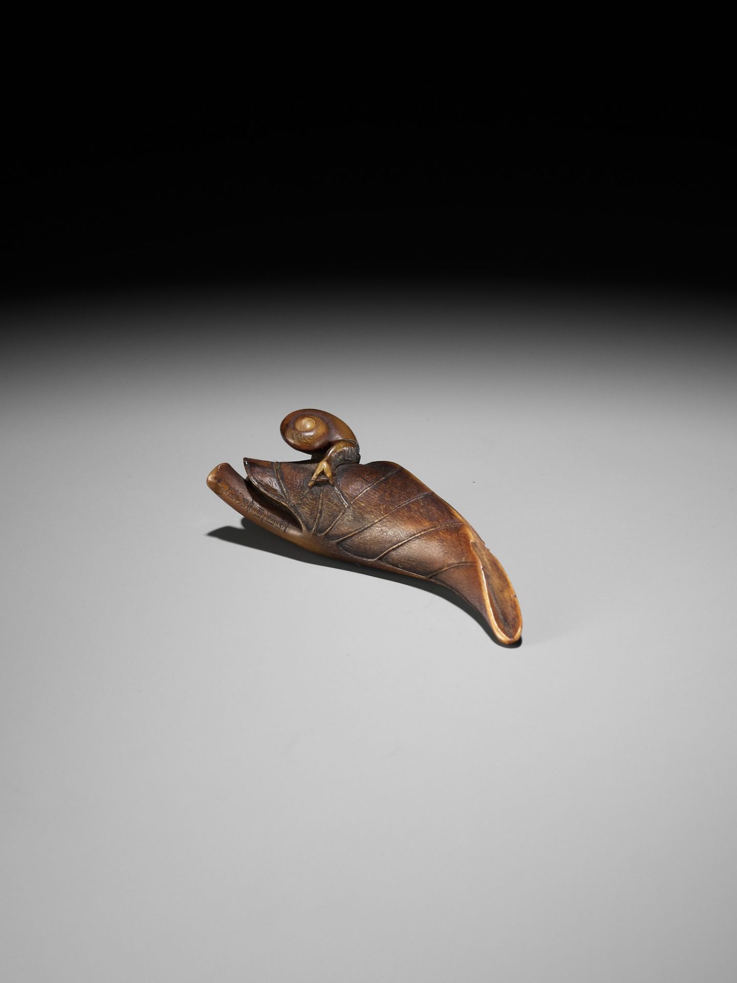 KANMAN: A RARE BUFFALO HORN NETSUKE OF A SNAIL ON A TARO LEAF - Bild 11 aus 15