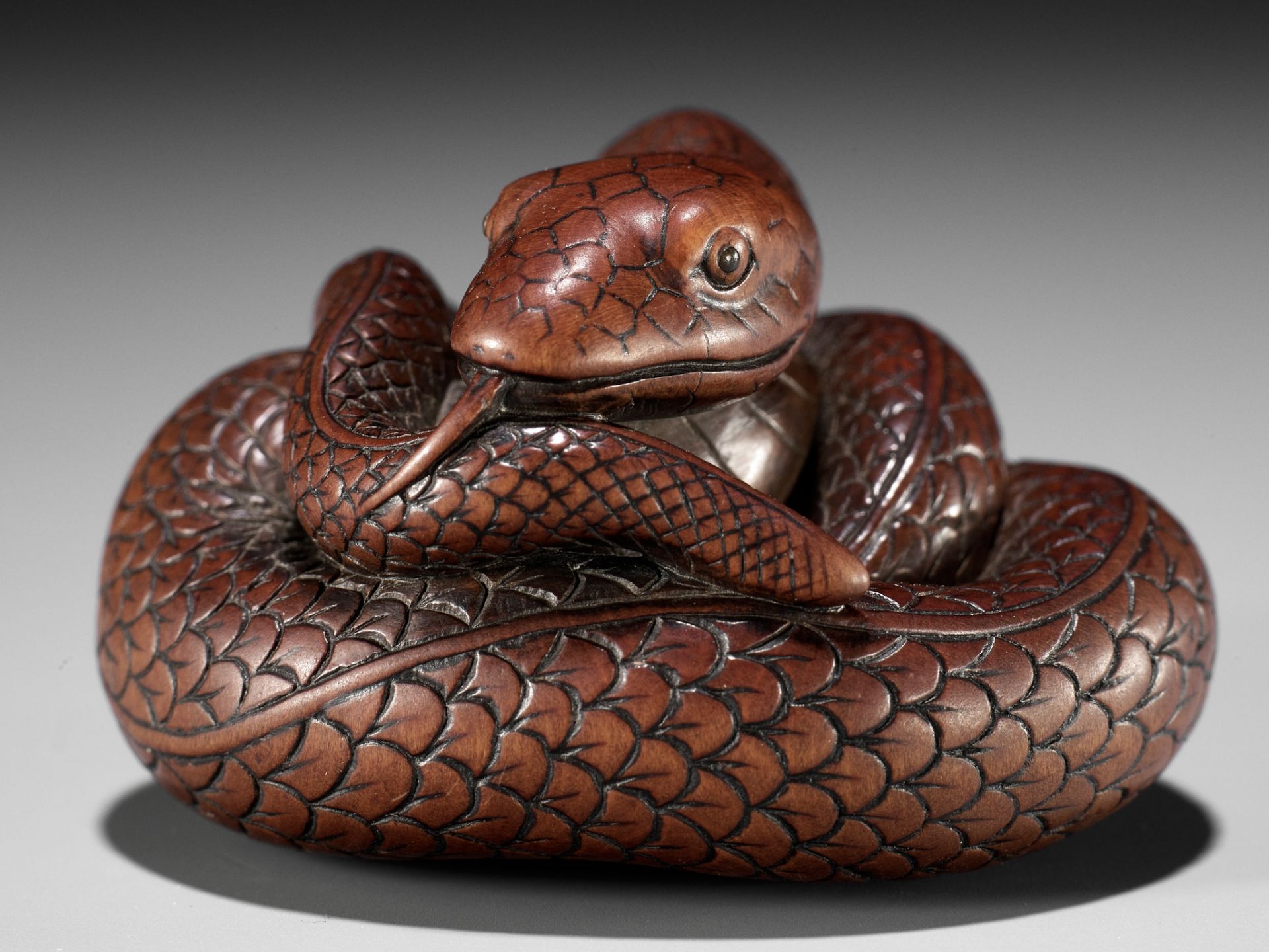 AN EXCEPTIONAL AND LARGE WOOD NETSUKE OF A SNAKE, ATTRIBUTED TO OKATOMO - Image 18 of 19
