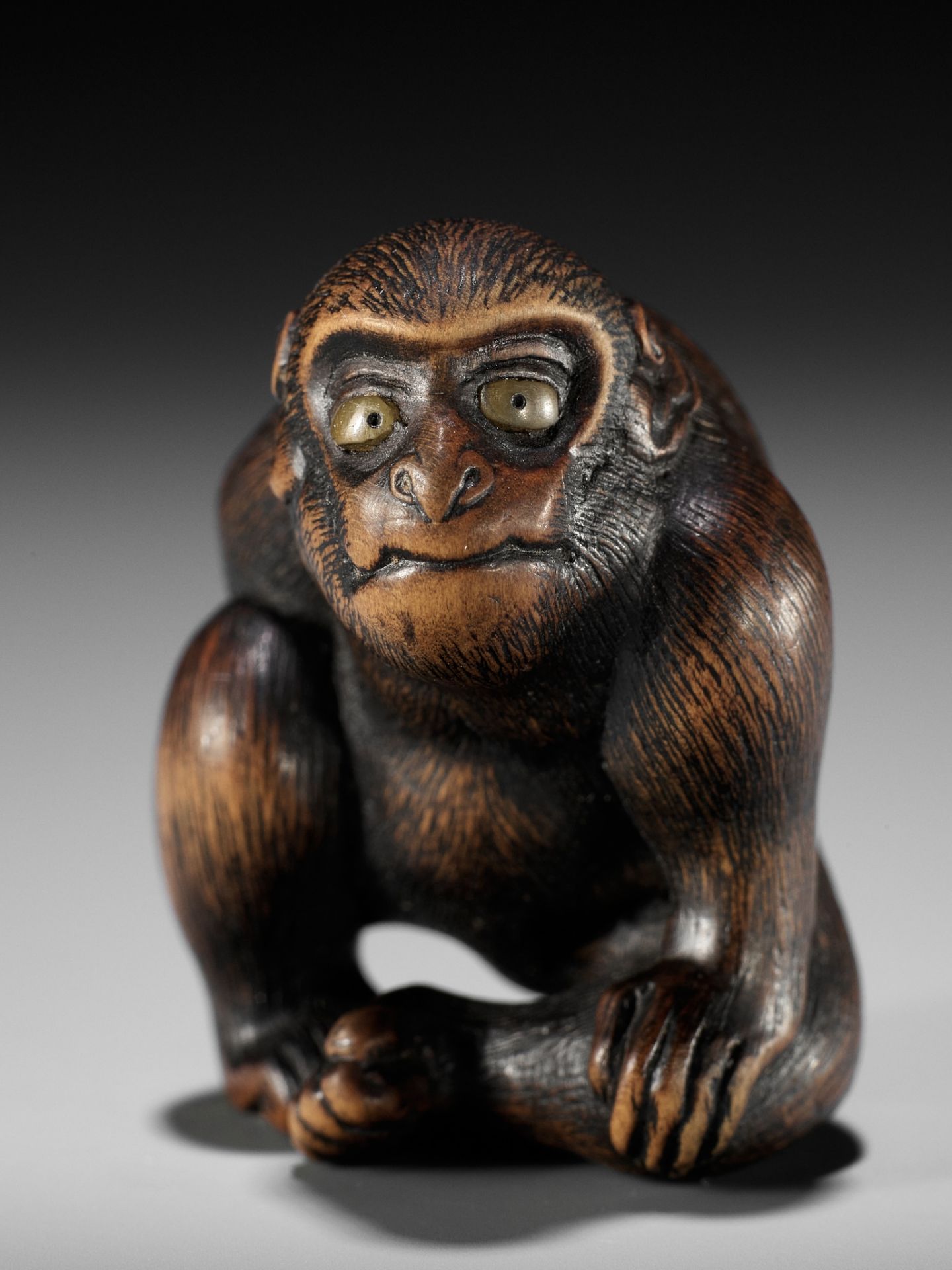 NAITO TOYOMASA: A SUPERB WOOD NETSUKE OF A MONKEY SCRATCHING ITSELF - Bild 3 aus 17