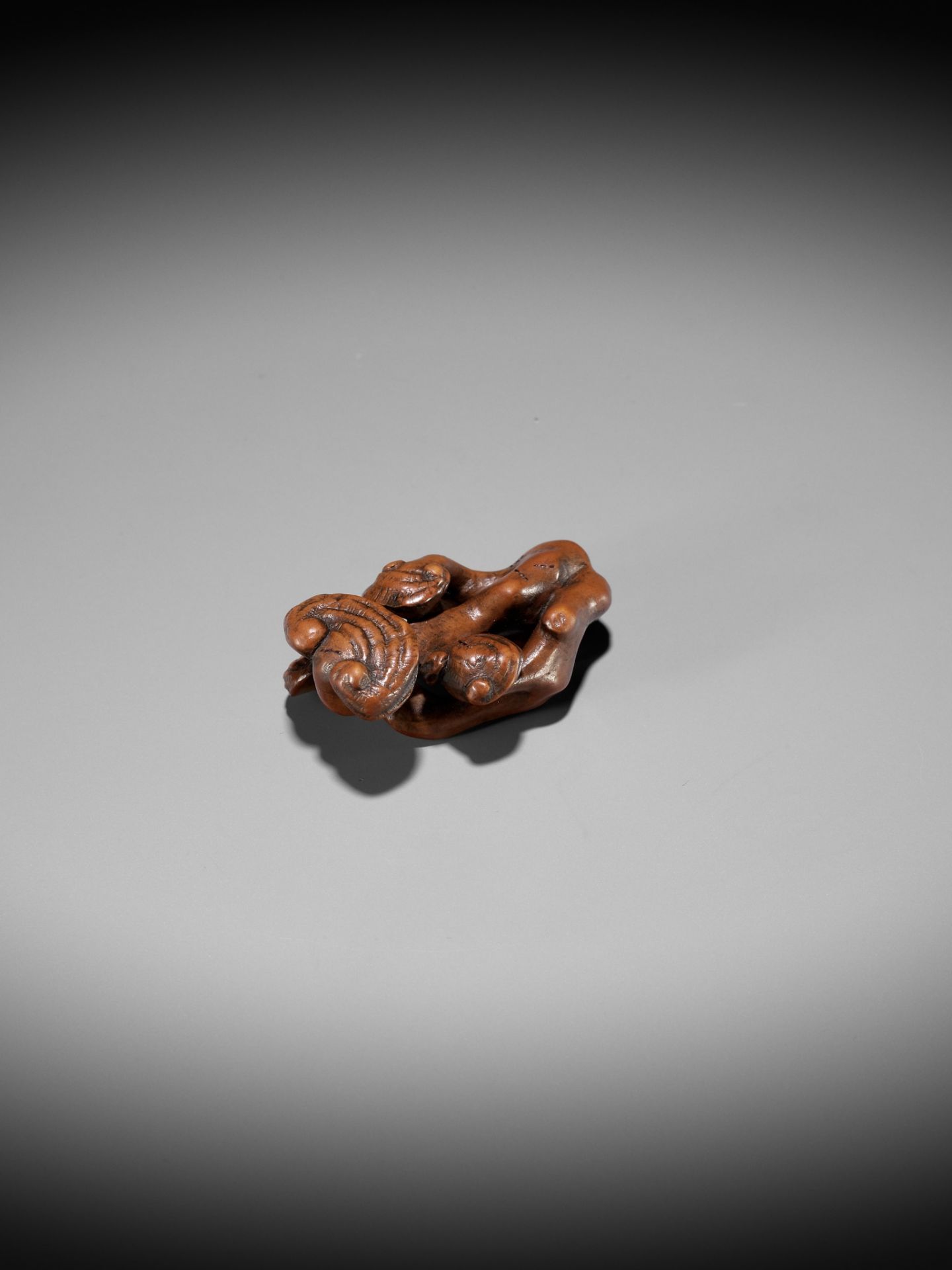 ZESHIN: A WOOD NETSUKE OF A REISHI FUNGUS WITH LACQUERED ANTS - Bild 7 aus 12