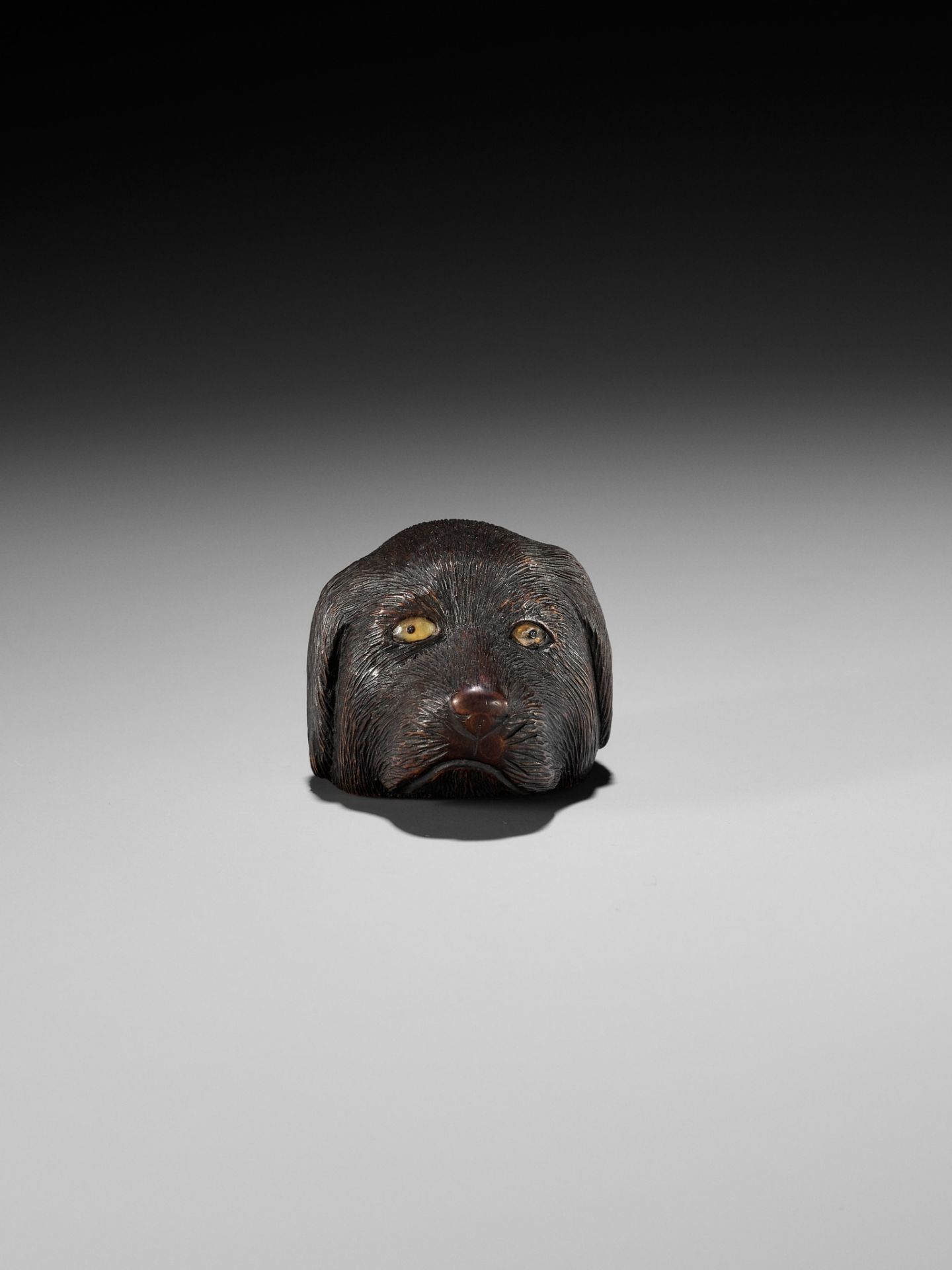 CHIKUSAI: A RARE WOOD NETSUKE DEPICTING THE HEAD OF A DOG - Bild 3 aus 12