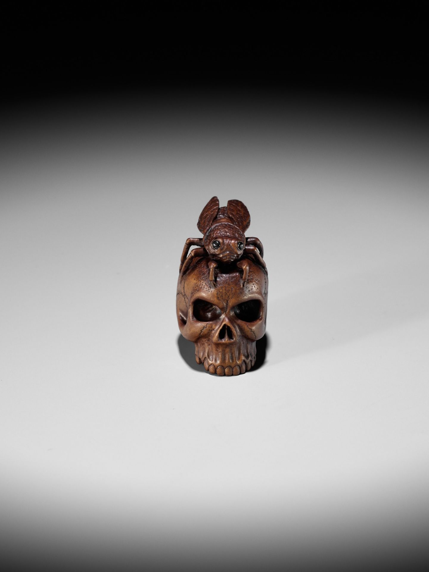 ALEXANDER DERKACHENKO: A WOOD NETSUKE OF A CICADA ON A SKULL - Bild 7 aus 16