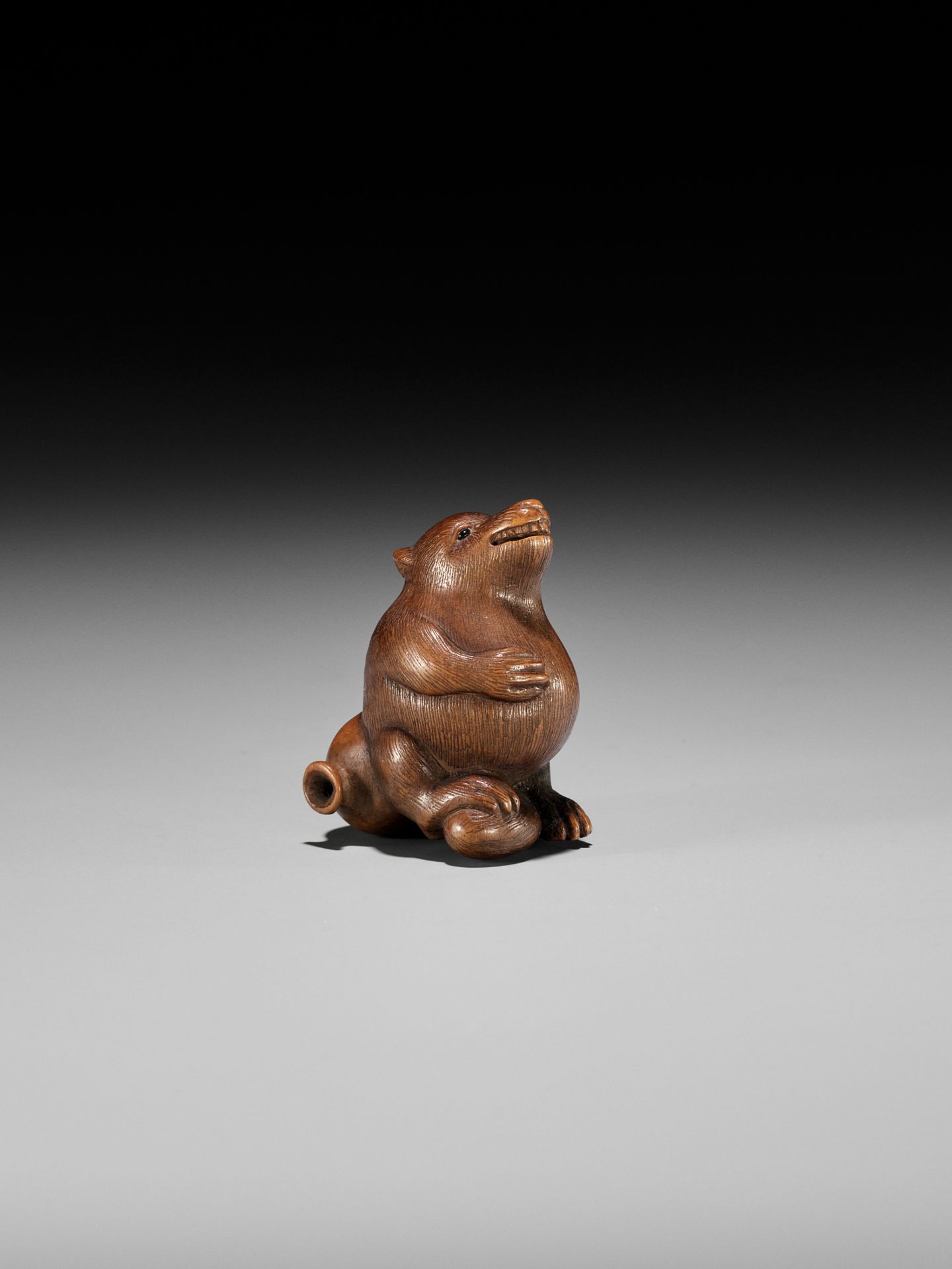 RANSEN: A FINE WOOD NETSUKE OF A DRUNKEN TANUKI HARA NO TSUZUMI - Image 12 of 14