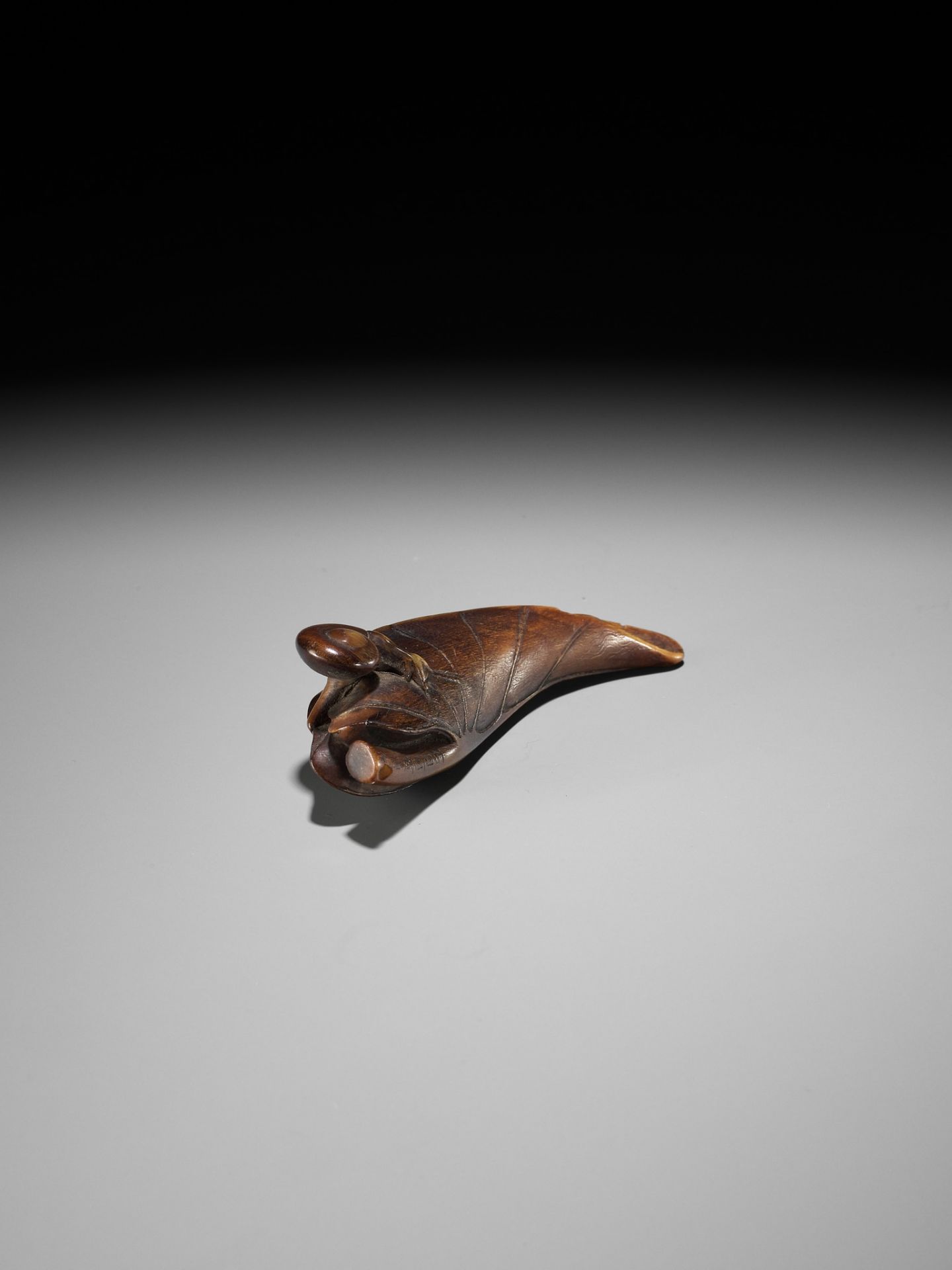 KANMAN: A RARE BUFFALO HORN NETSUKE OF A SNAIL ON A TARO LEAF - Bild 9 aus 15