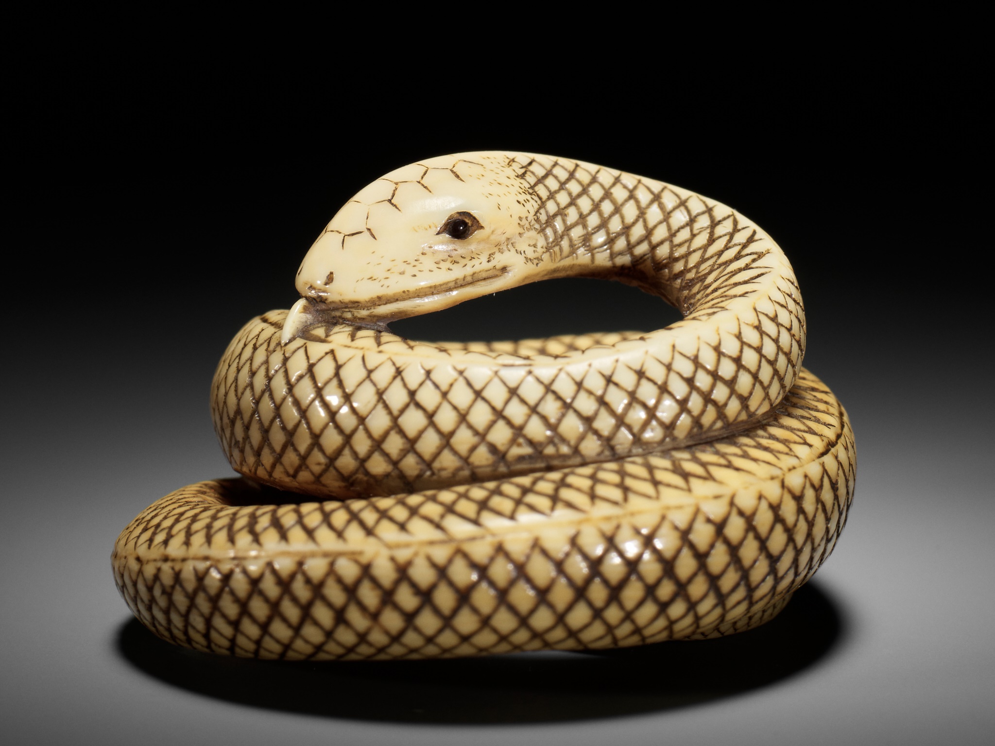 AN IVORY NETSUKE OF A COILED SNAKE, ATTRIBUTED TO OKATOMO - Image 14 of 16