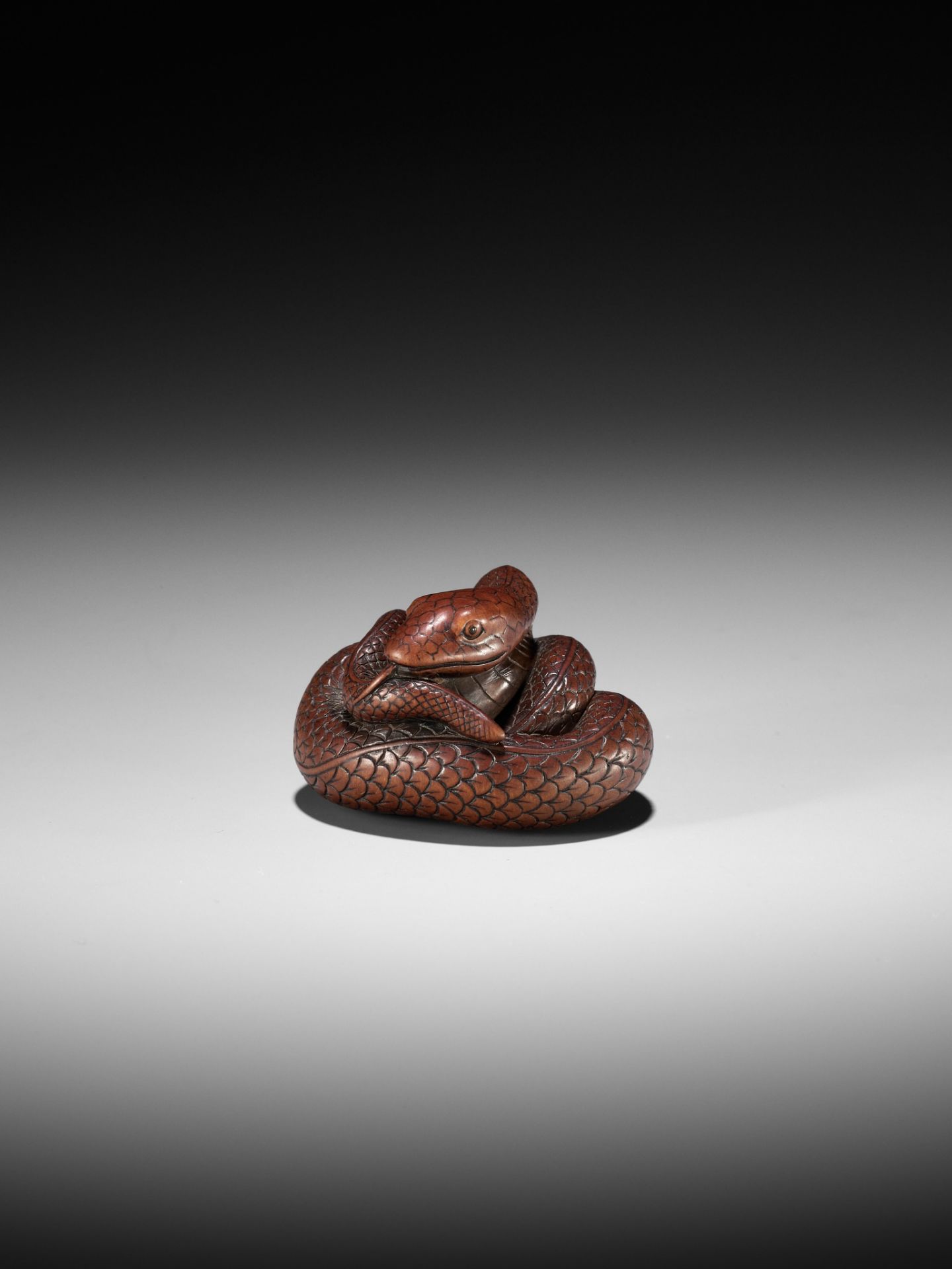 AN EXCEPTIONAL AND LARGE WOOD NETSUKE OF A SNAKE, ATTRIBUTED TO OKATOMO - Image 8 of 19