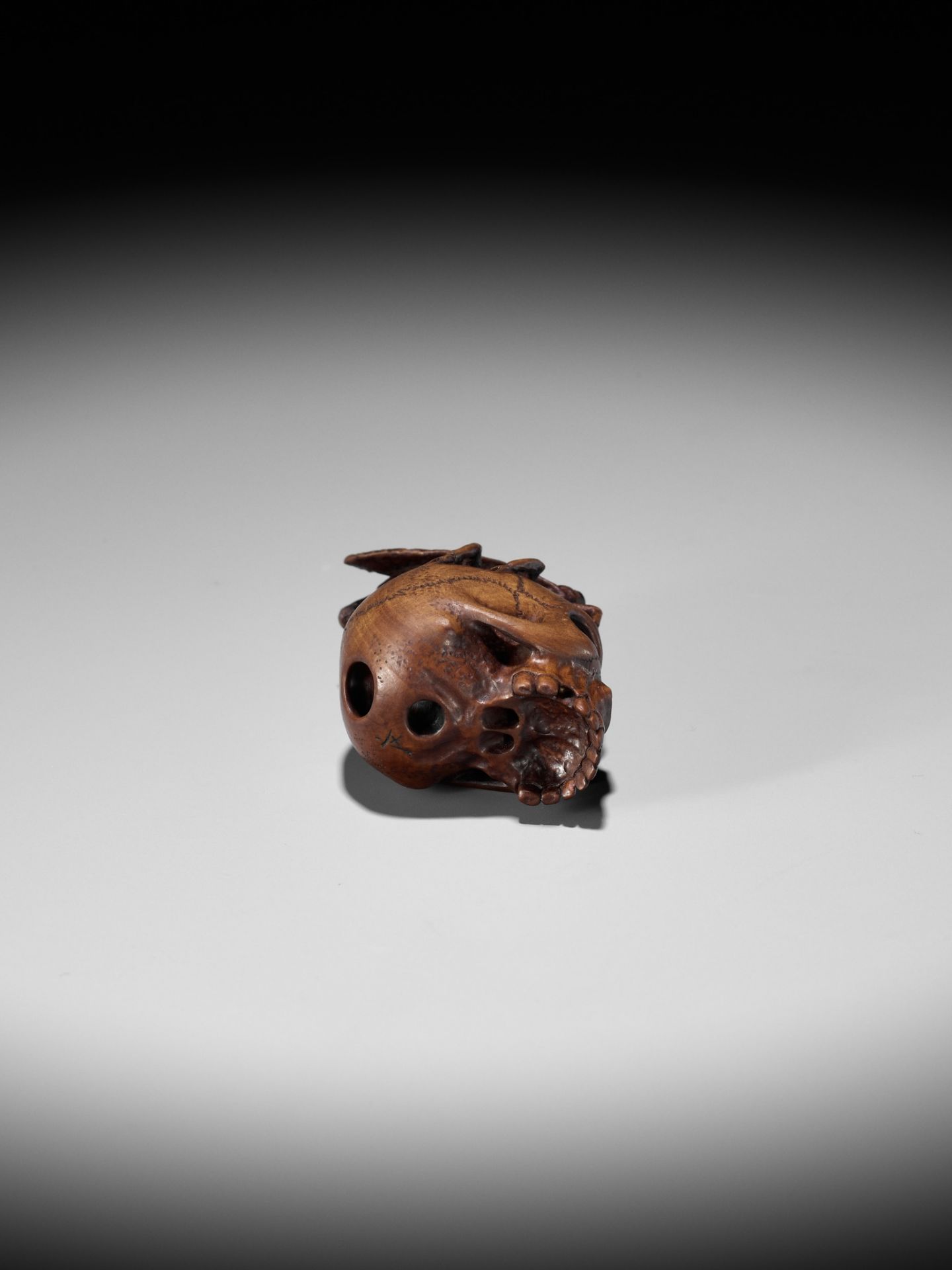 ALEXANDER DERKACHENKO: A WOOD NETSUKE OF A CICADA ON A SKULL - Bild 14 aus 16