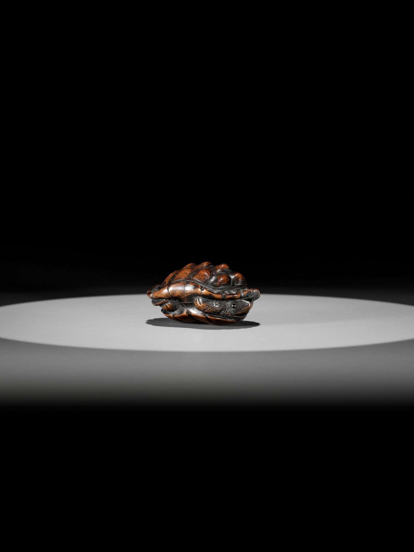 TOYOMASA: A SUPERB WOOD NETSUKE OF A TORTOISE - Image 12 of 18