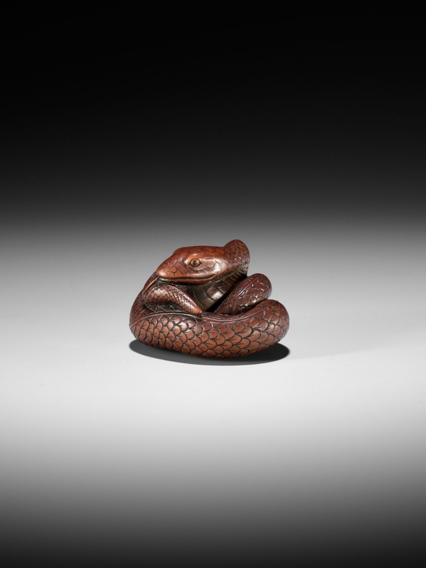 AN EXCEPTIONAL AND LARGE WOOD NETSUKE OF A SNAKE, ATTRIBUTED TO OKATOMO - Image 15 of 19
