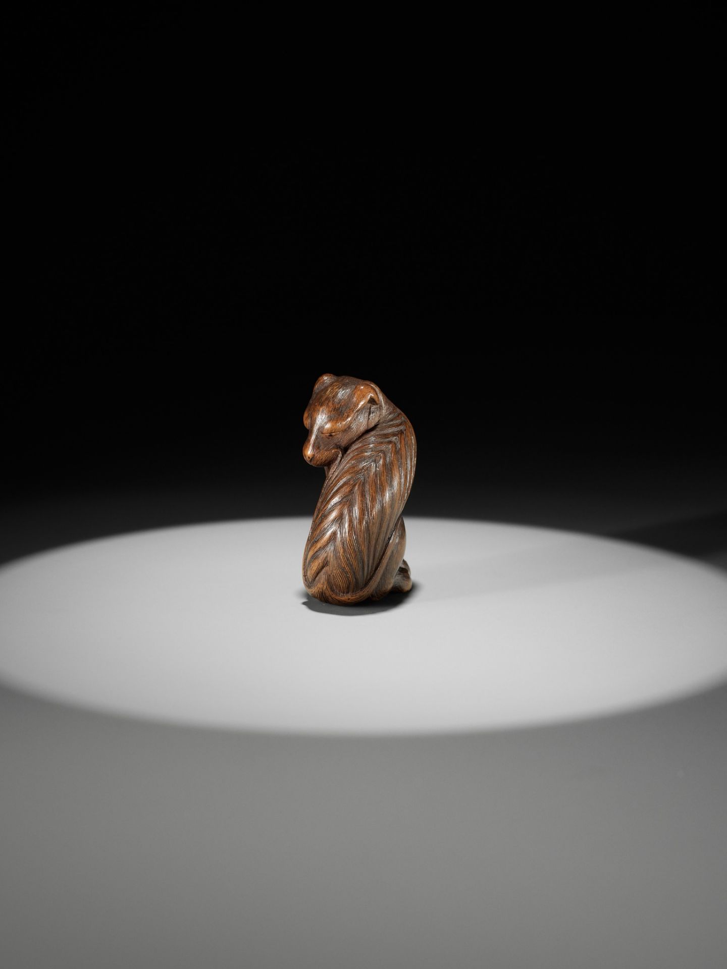 TADAKUNI: A SUPERB AND RARE WOOD NETSUKE OF A JAKONEKO (MUSK CAT) - Bild 12 aus 19