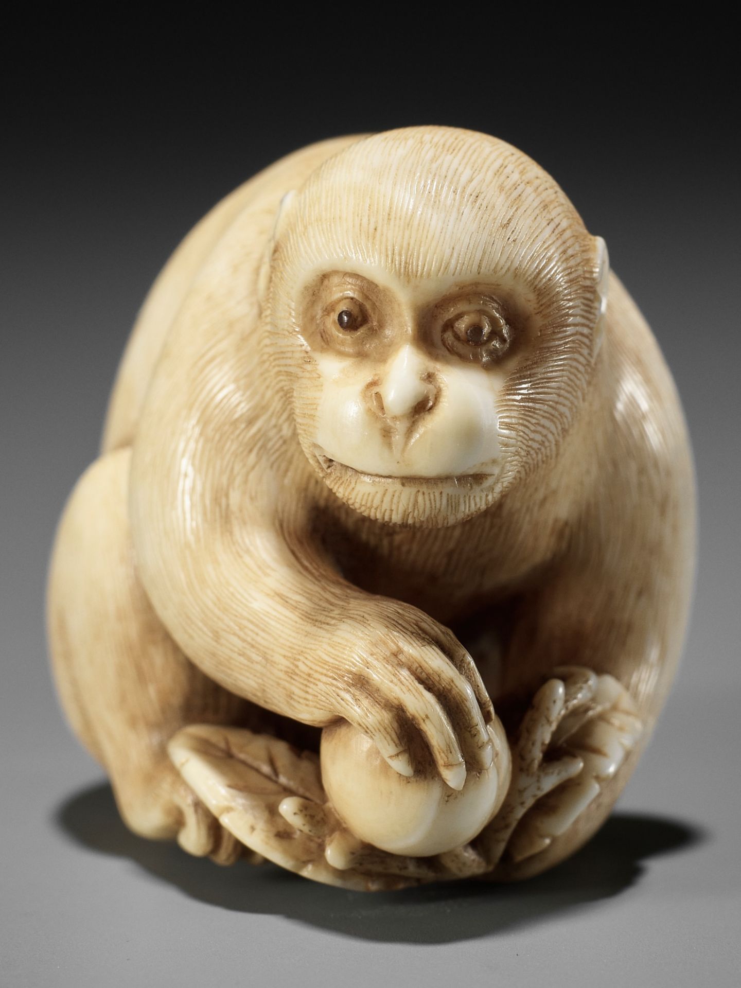 OKATORI: A FINE IVORY NETSUKE OF A MONKEY WITH A PEACH - Bild 14 aus 15