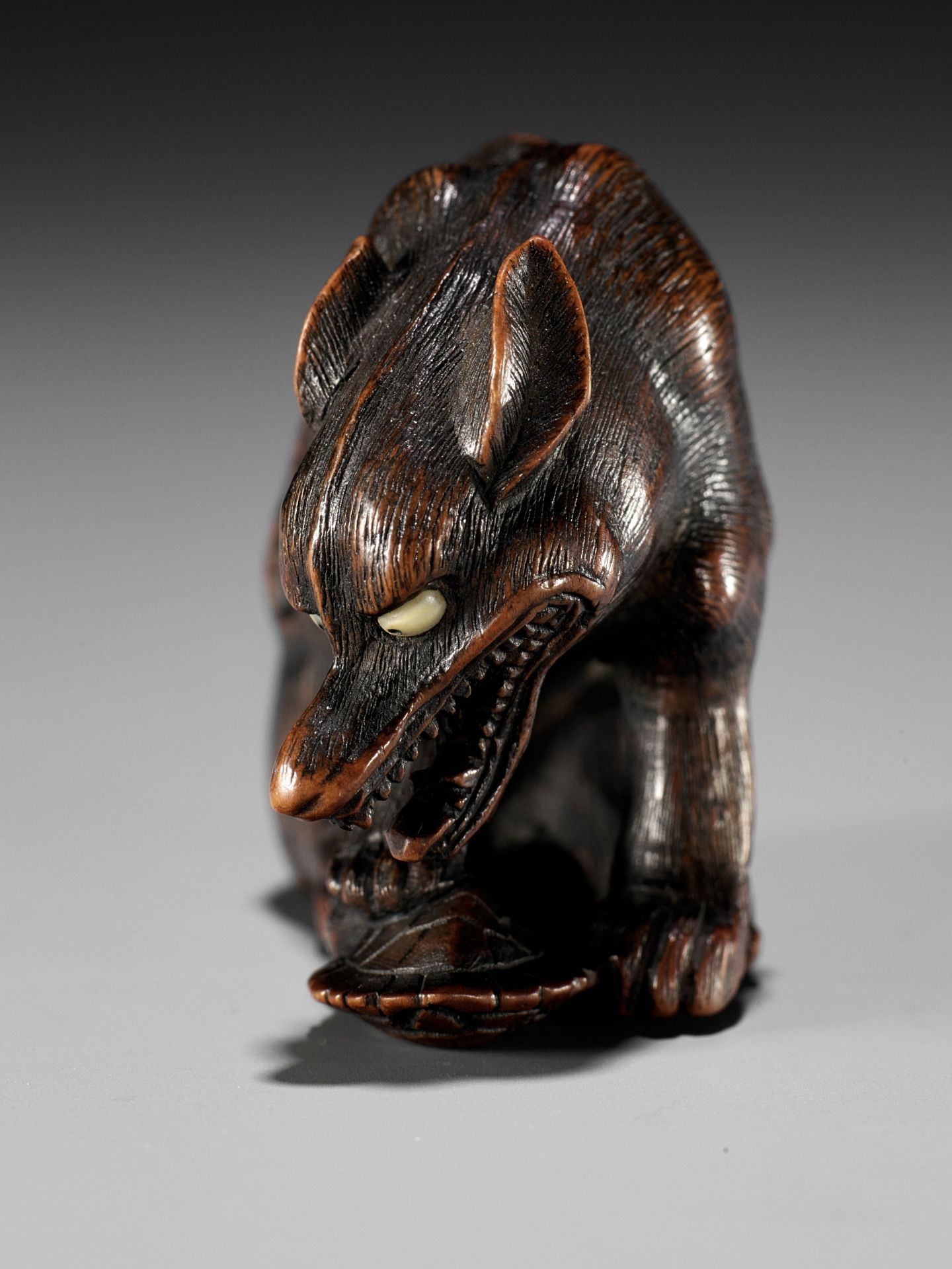 A SUPERB TOYOMASA SCHOOL WOOD NETSUKE OF AN EMACIATED WOLF WITH TORTOISE - Bild 2 aus 15