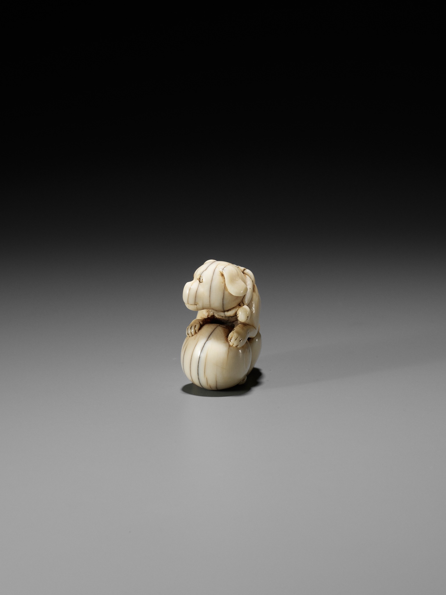 TOMOTADA: AN IVORY NETSUKE OF A DOG WITH BALL - Image 5 of 12